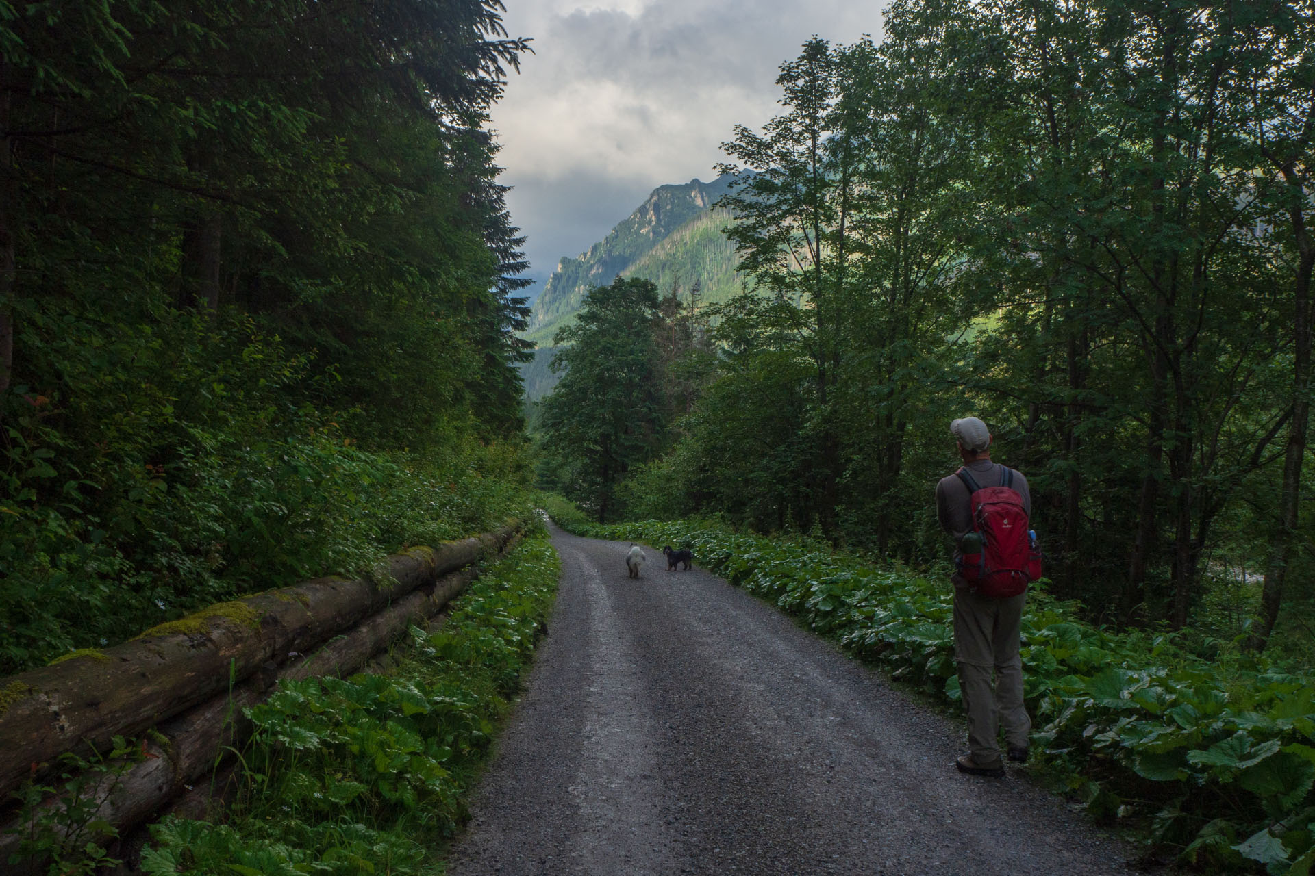 Poľský hrebeň z Lysej Poľany (Vysoké Tatry)