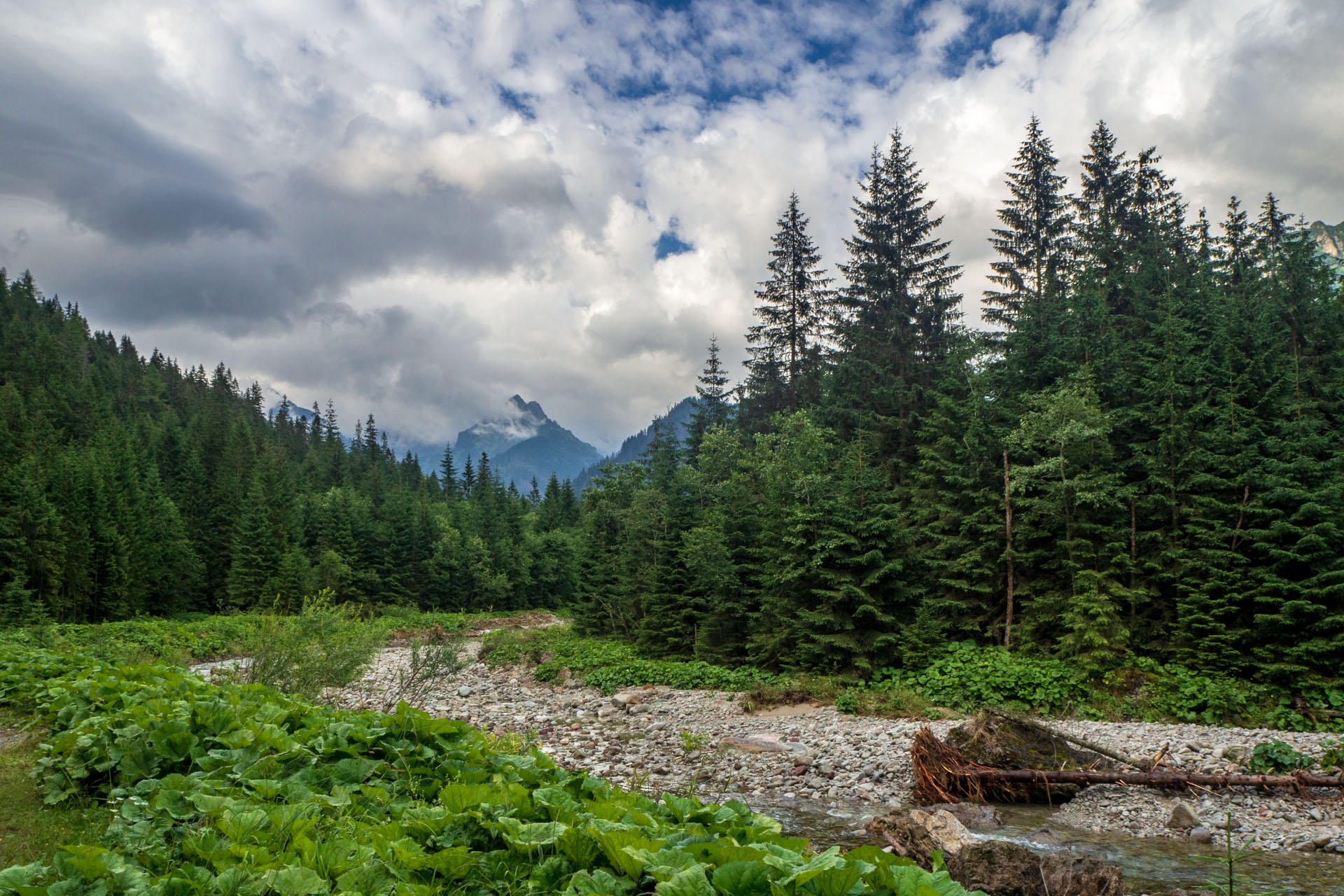 Poľský hrebeň z Lysej Poľany (Vysoké Tatry)