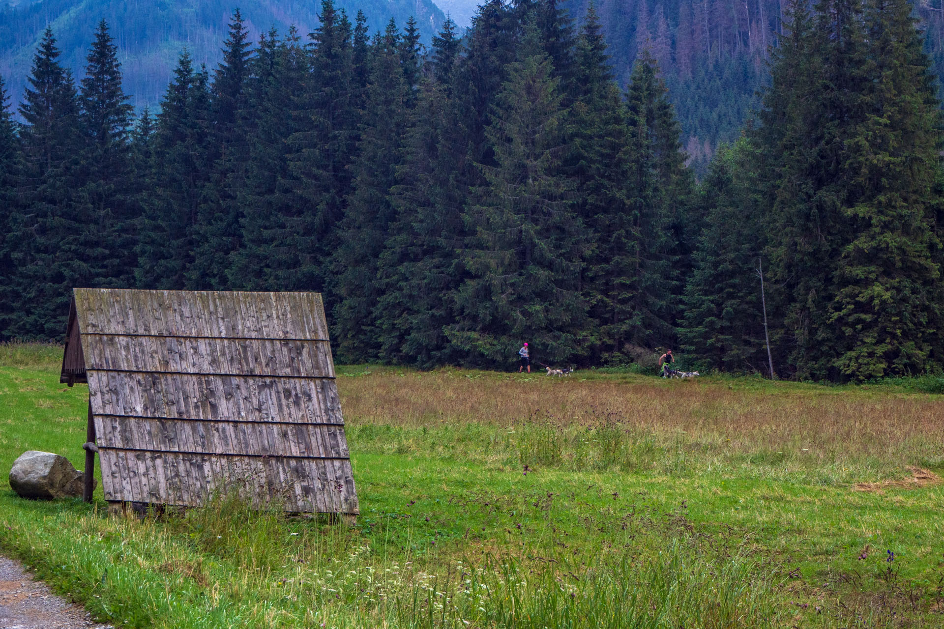 Poľský hrebeň z Lysej Poľany (Vysoké Tatry)