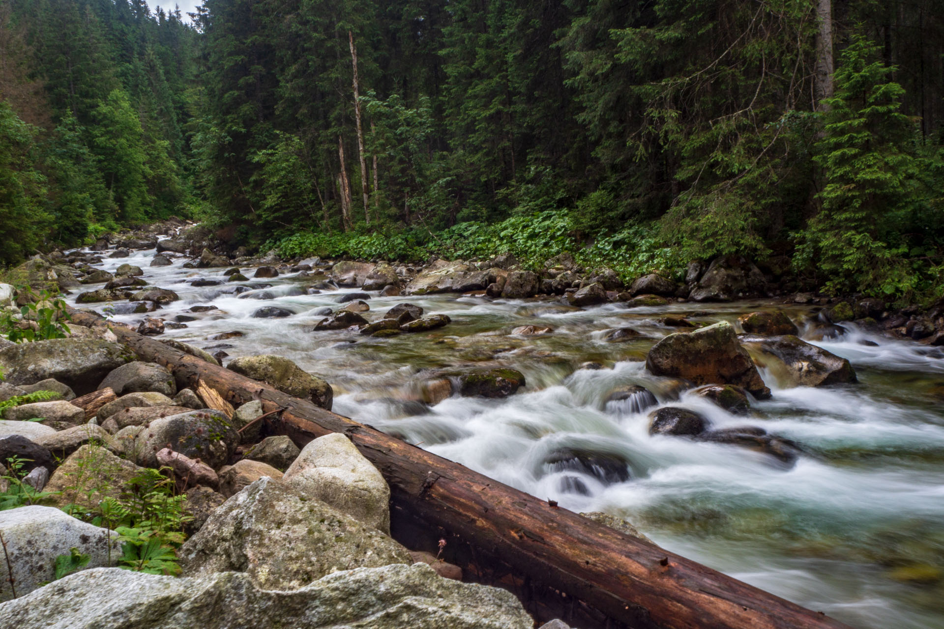 Poľský hrebeň z Lysej Poľany (Vysoké Tatry)