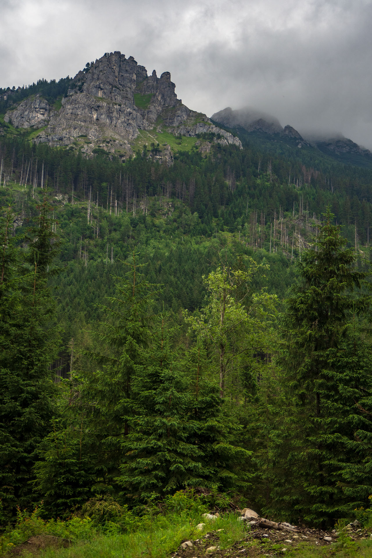 Poľský hrebeň z Lysej Poľany (Vysoké Tatry)