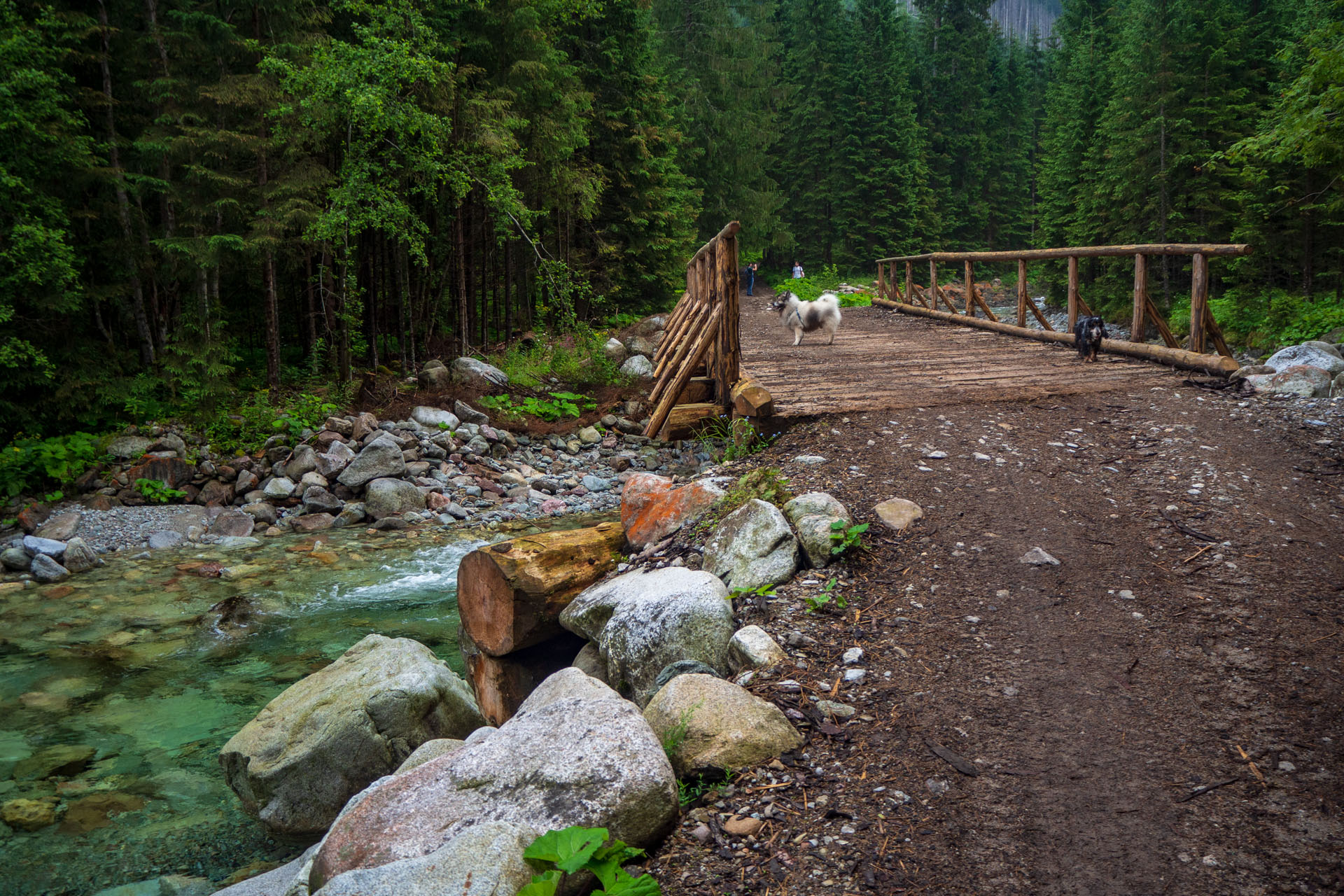 Poľský hrebeň z Lysej Poľany (Vysoké Tatry)