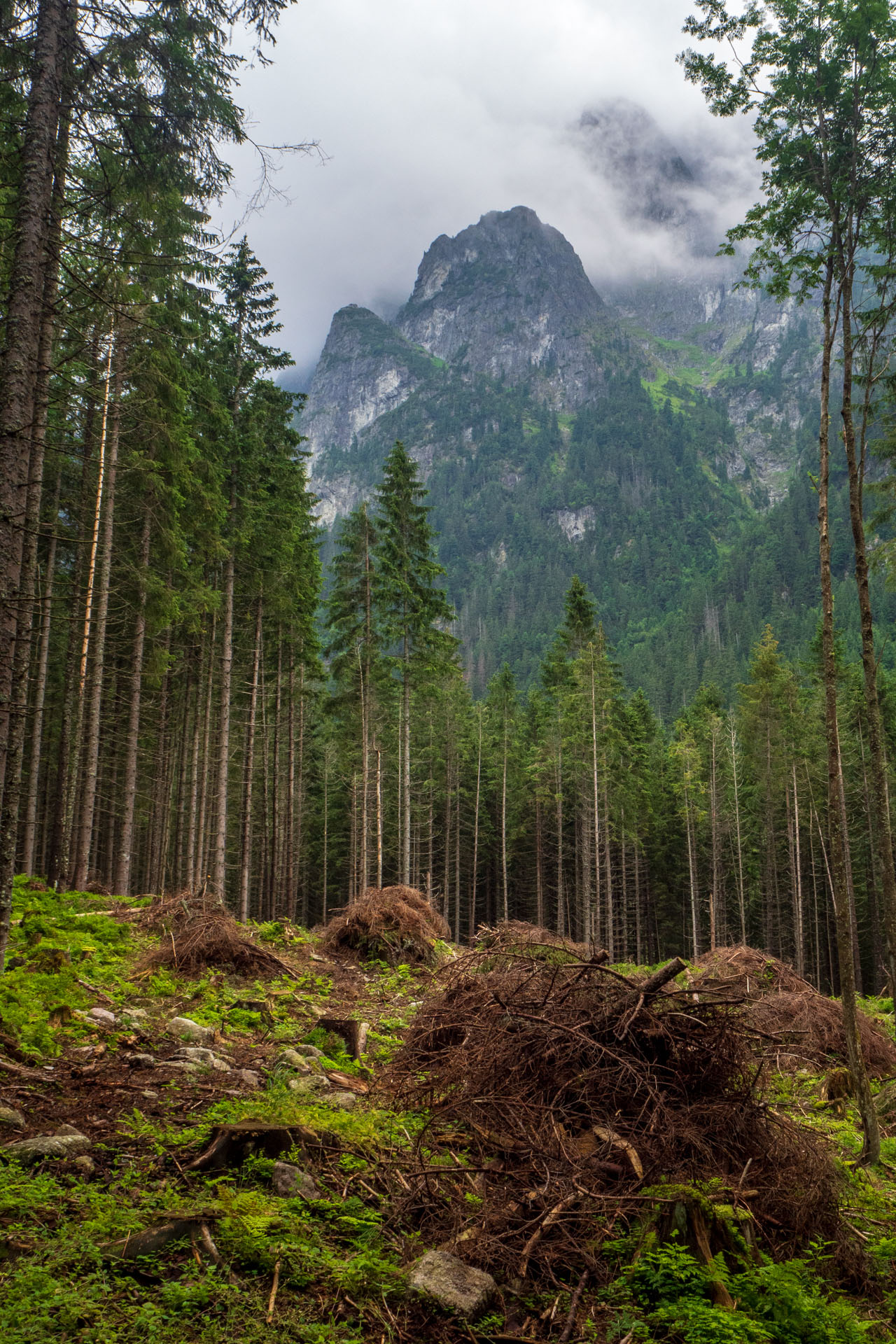 Poľský hrebeň z Lysej Poľany (Vysoké Tatry)