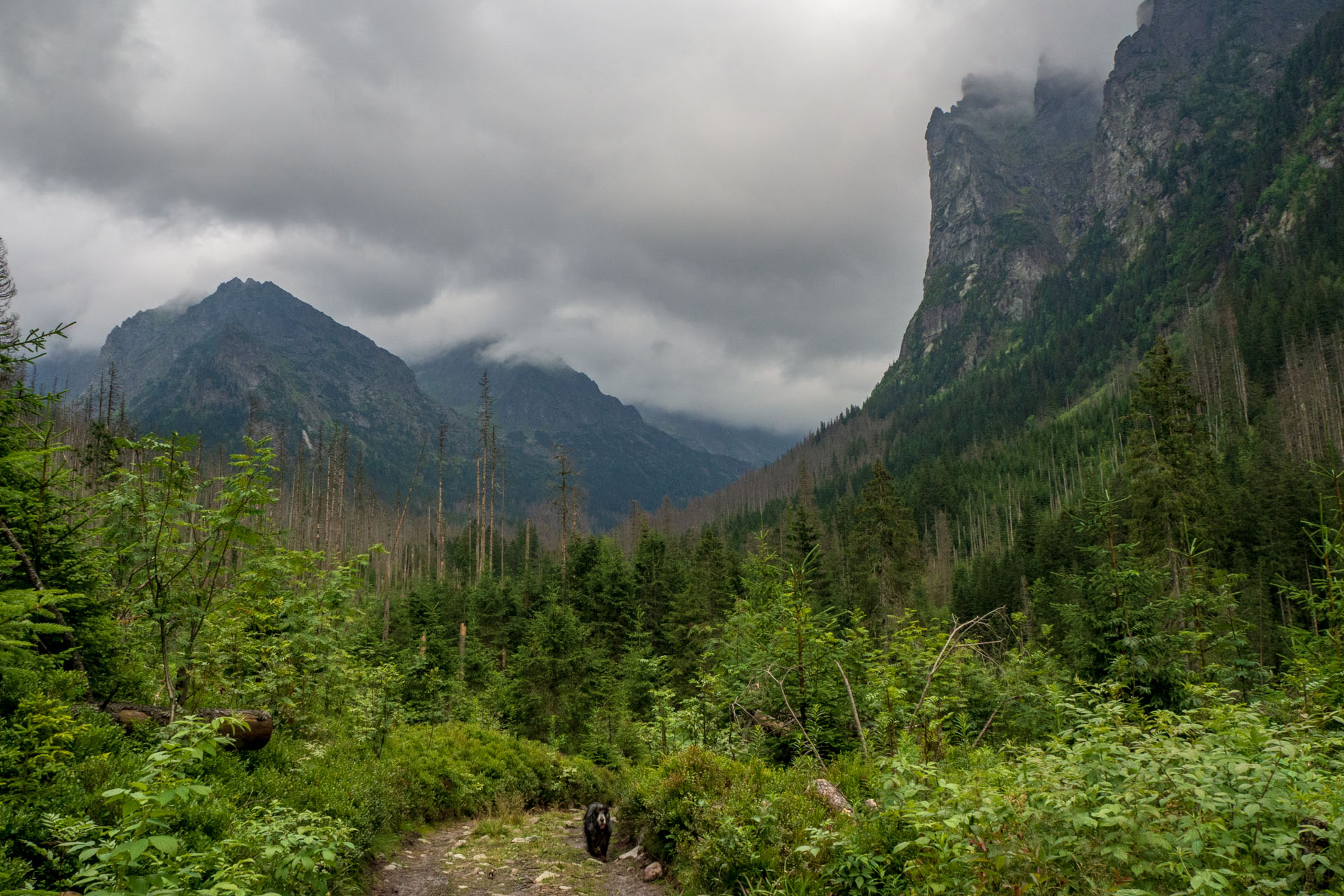 Poľský hrebeň z Lysej Poľany (Vysoké Tatry)