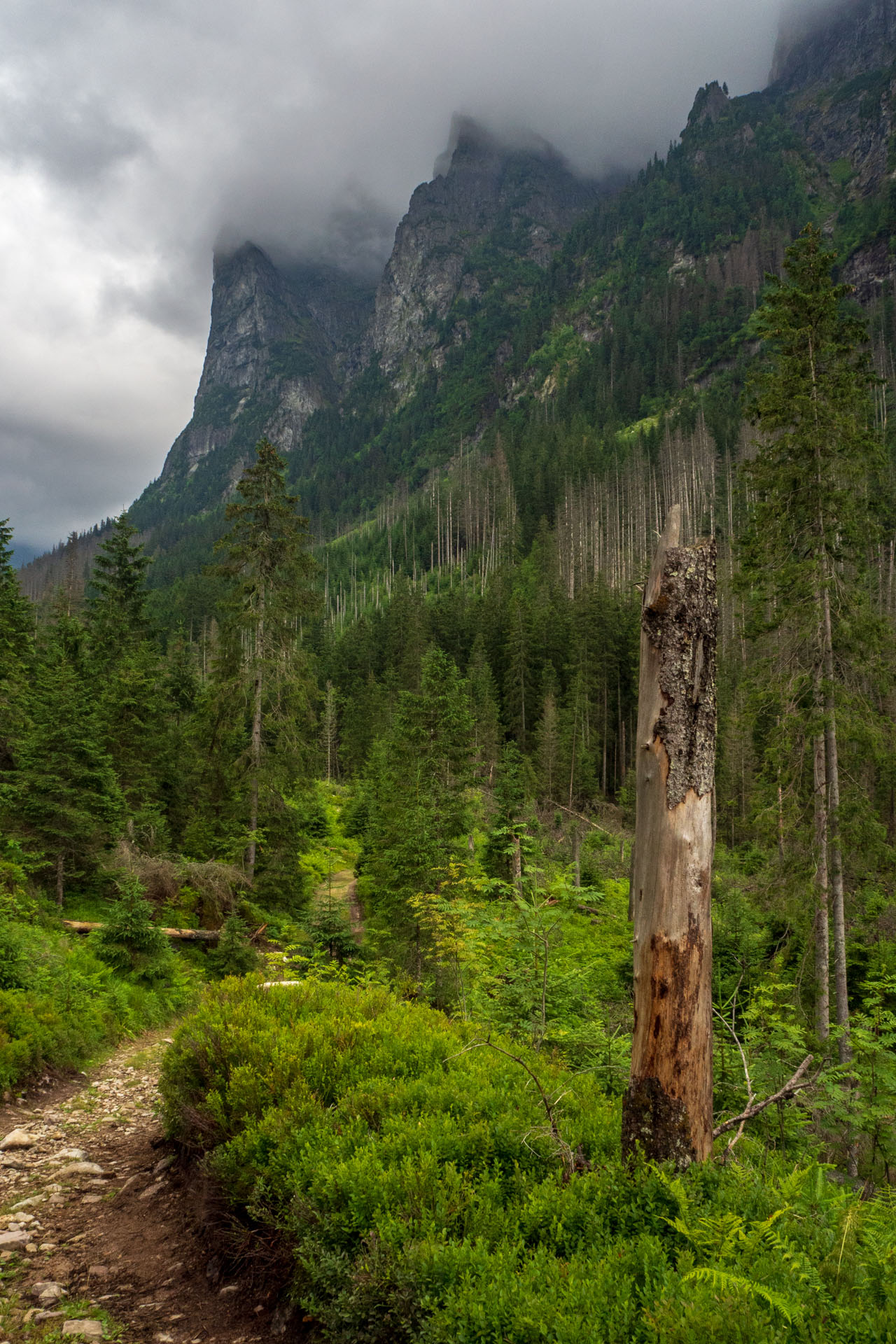 Poľský hrebeň z Lysej Poľany (Vysoké Tatry)