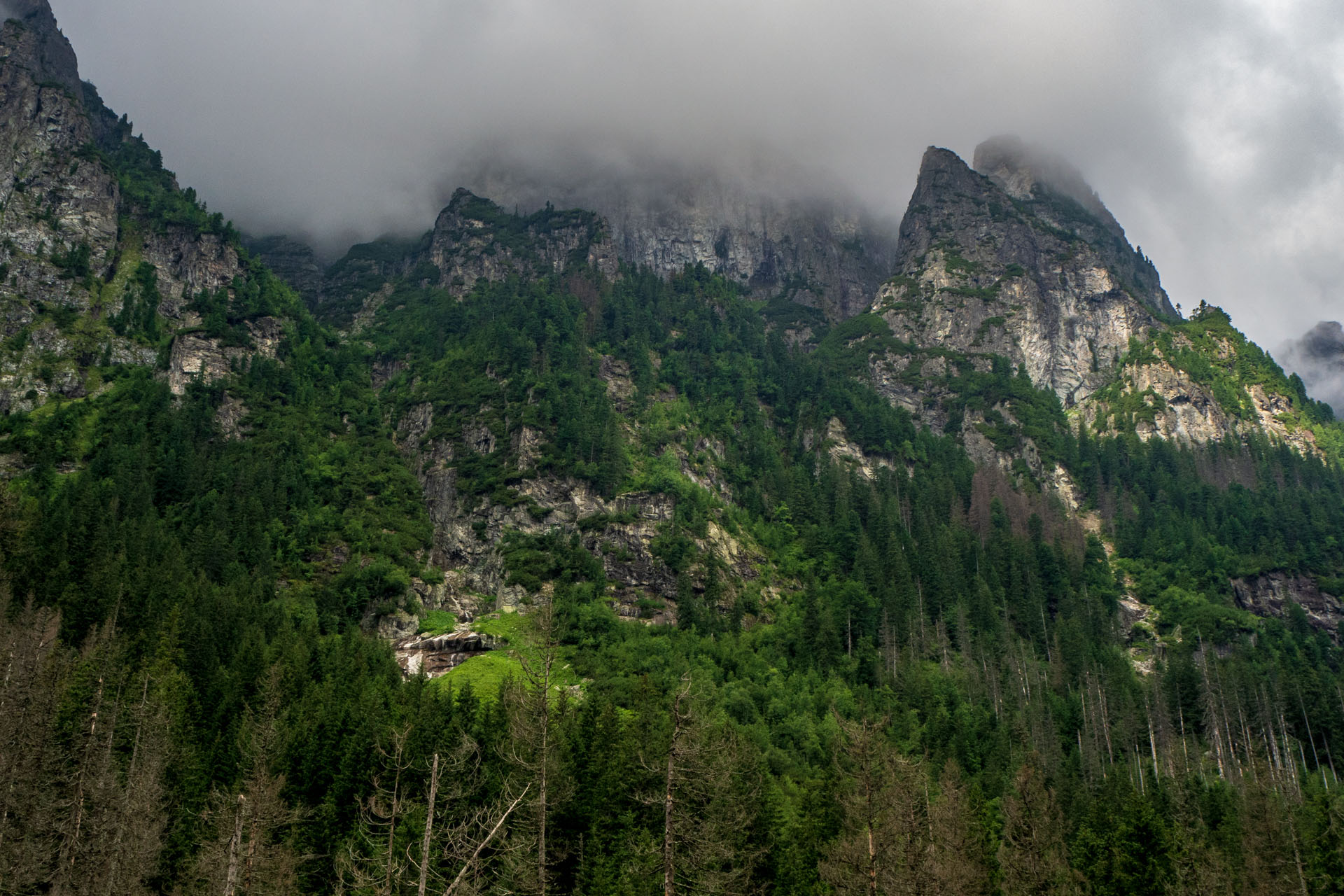 Poľský hrebeň z Lysej Poľany (Vysoké Tatry)