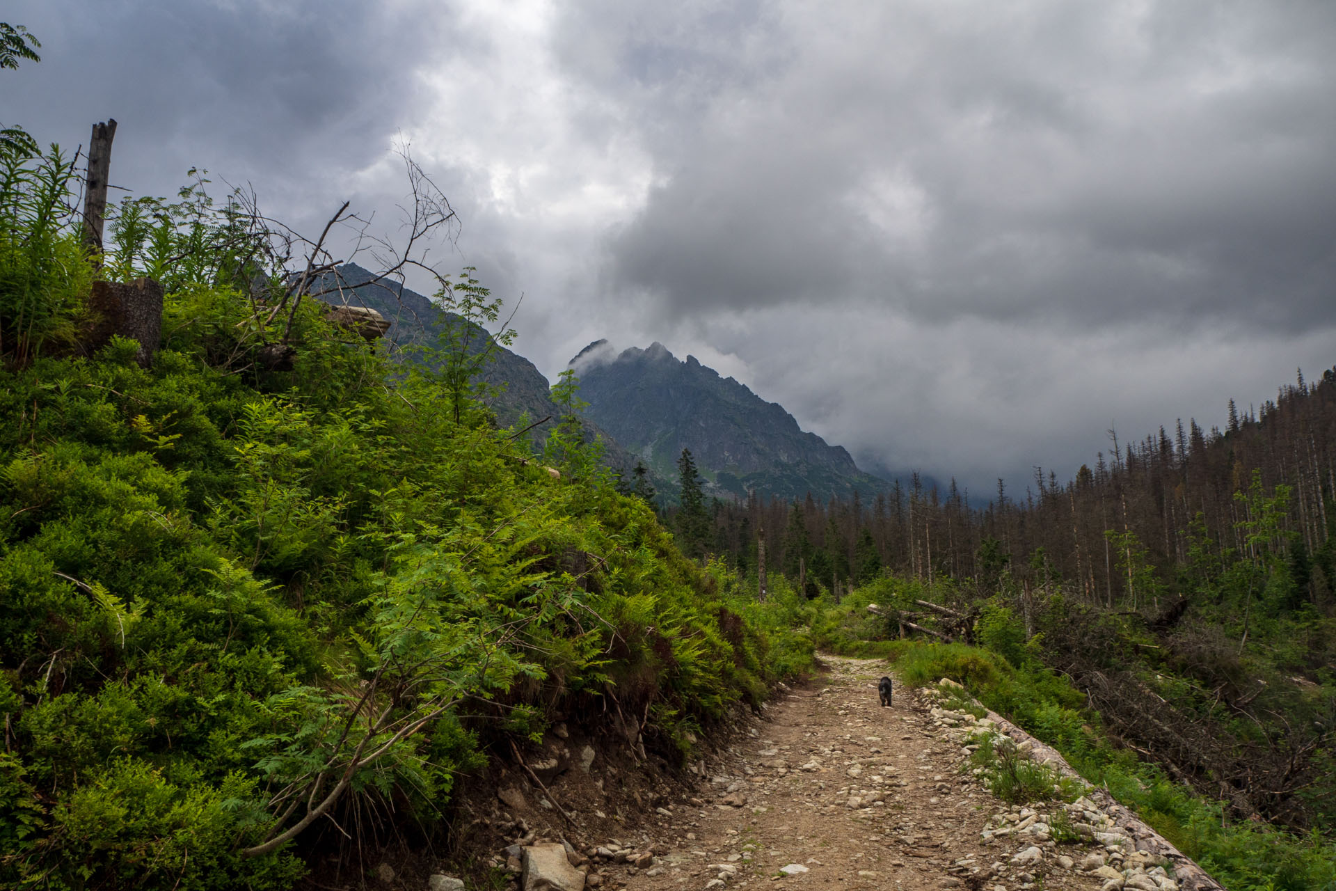 Poľský hrebeň z Lysej Poľany (Vysoké Tatry)