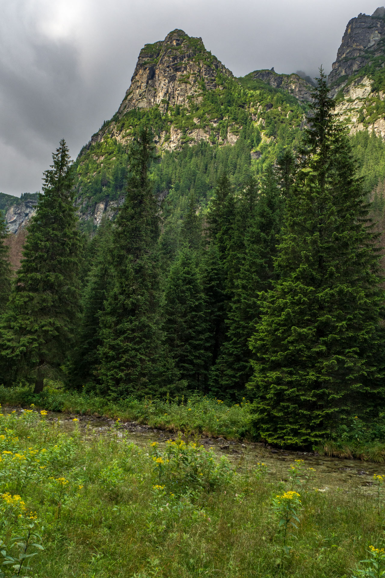 Poľský hrebeň z Lysej Poľany (Vysoké Tatry)