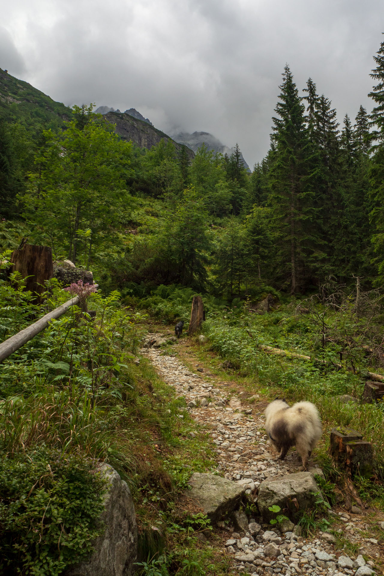 Poľský hrebeň z Lysej Poľany (Vysoké Tatry)