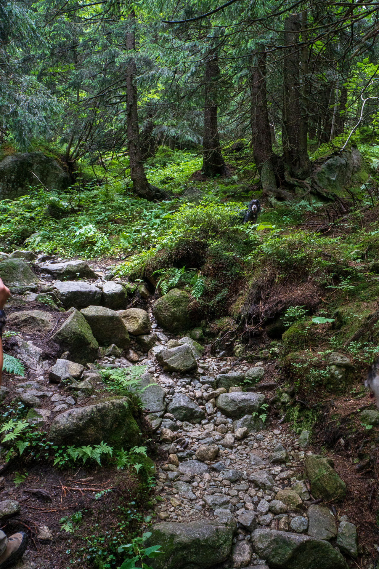 Poľský hrebeň z Lysej Poľany (Vysoké Tatry)