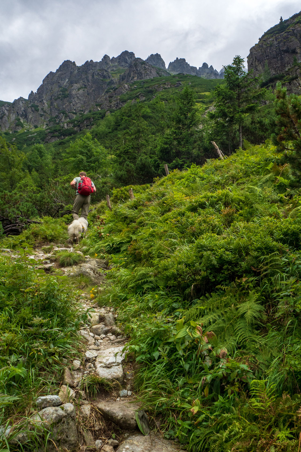 Poľský hrebeň z Lysej Poľany (Vysoké Tatry)