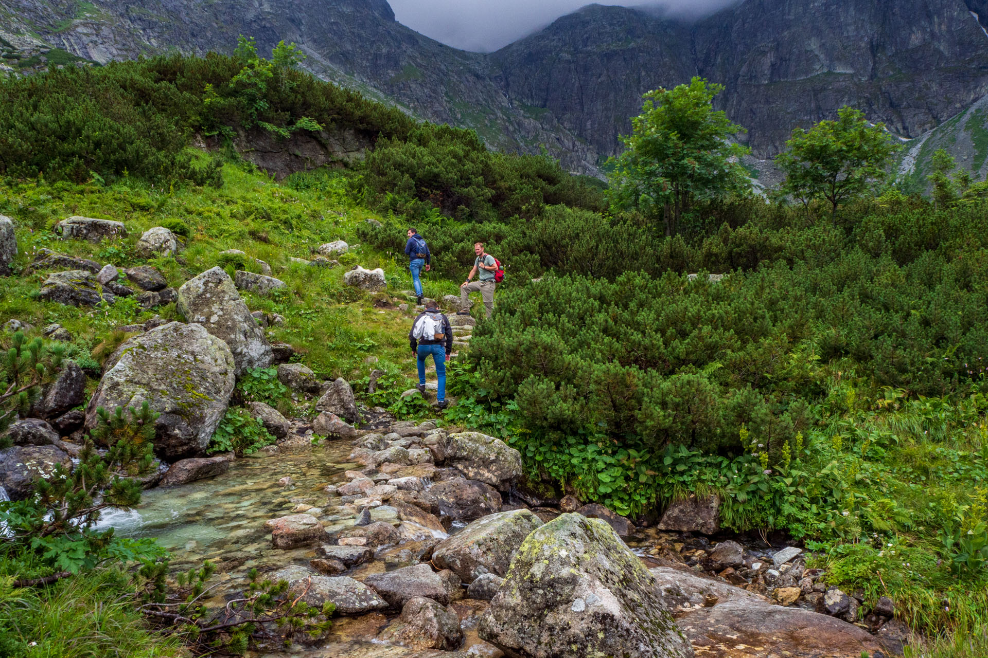 Poľský hrebeň z Lysej Poľany (Vysoké Tatry)