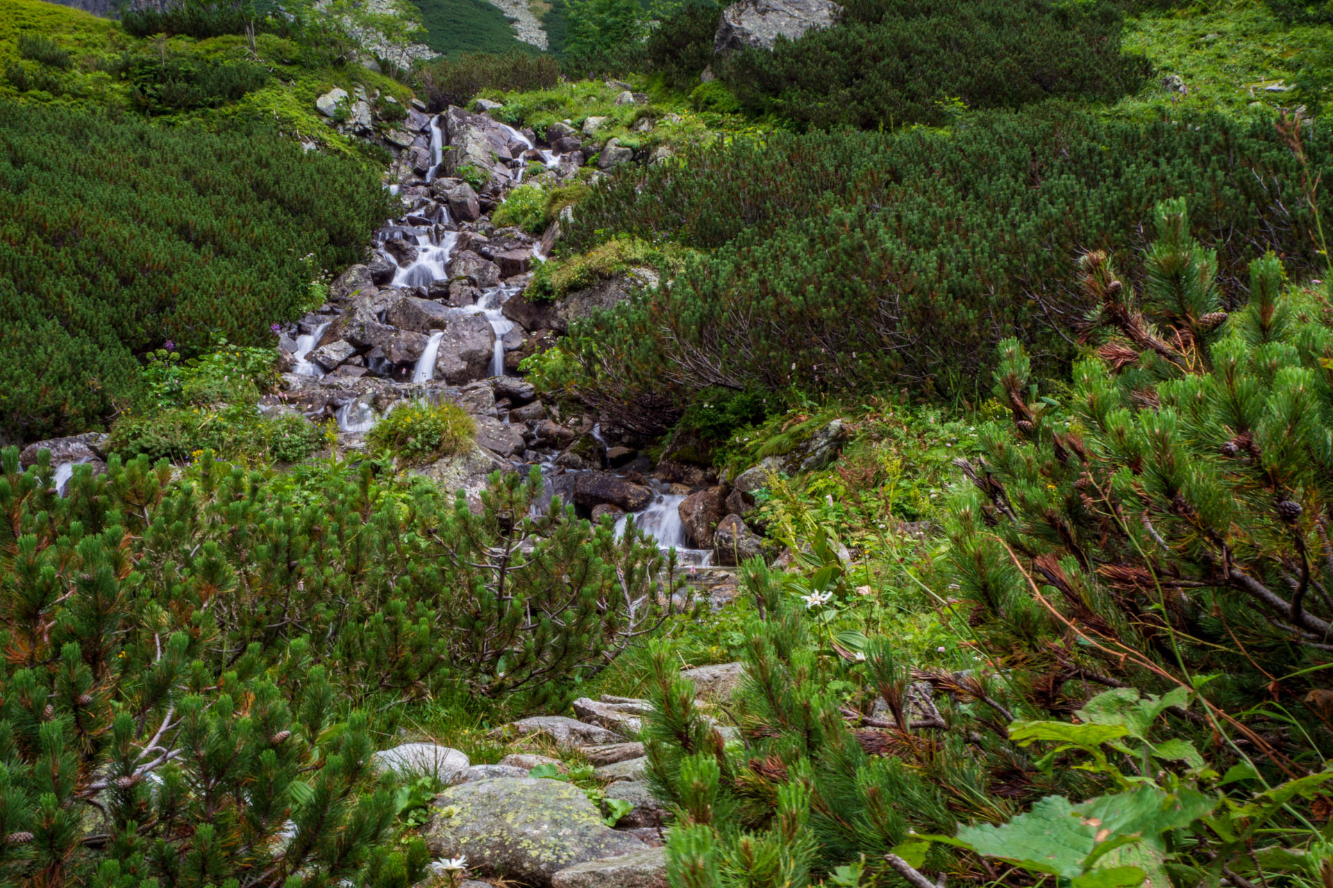 Poľský hrebeň z Lysej Poľany (Vysoké Tatry)