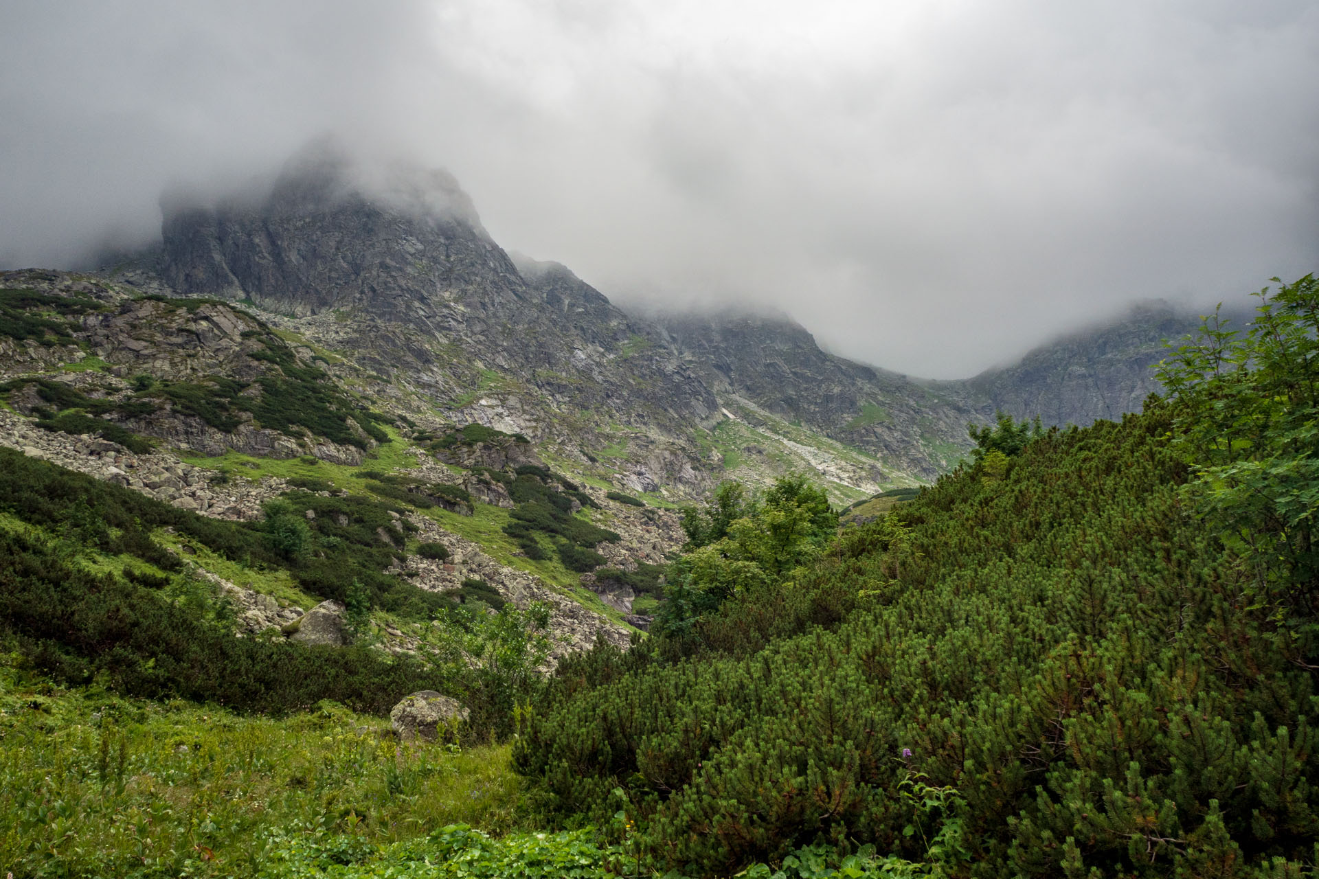 Poľský hrebeň z Lysej Poľany (Vysoké Tatry)