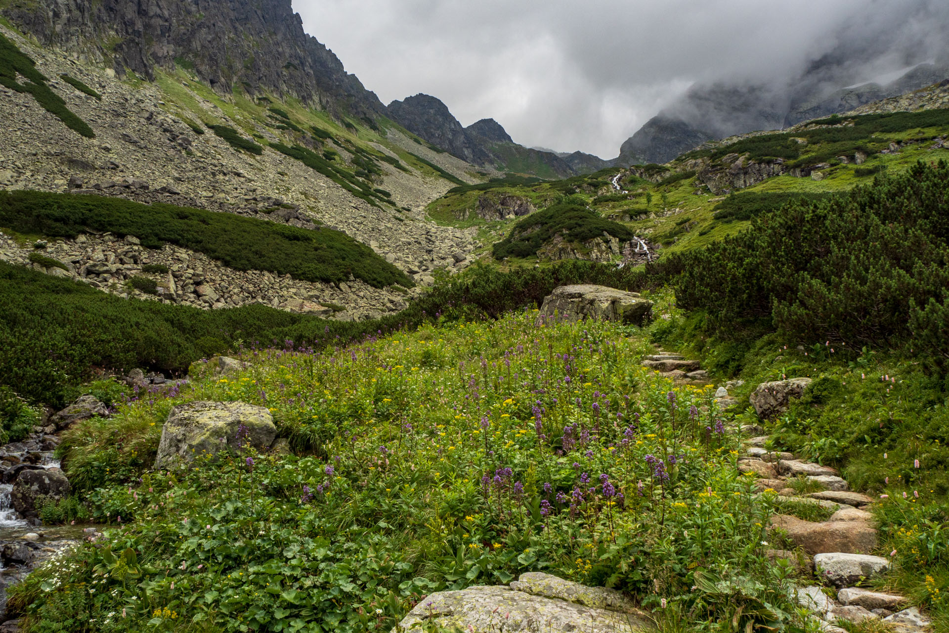 Poľský hrebeň z Lysej Poľany (Vysoké Tatry)