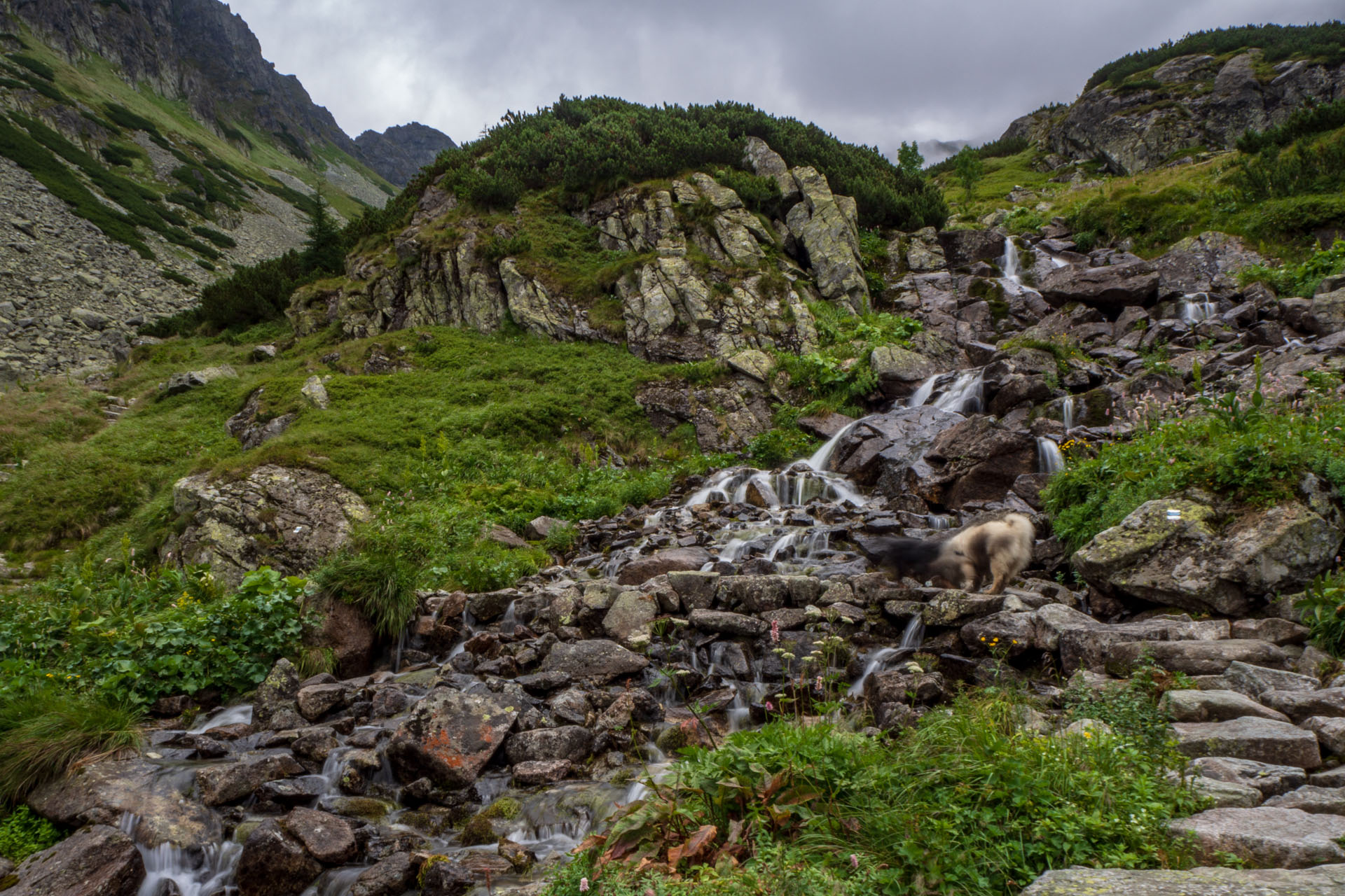 Poľský hrebeň z Lysej Poľany (Vysoké Tatry)