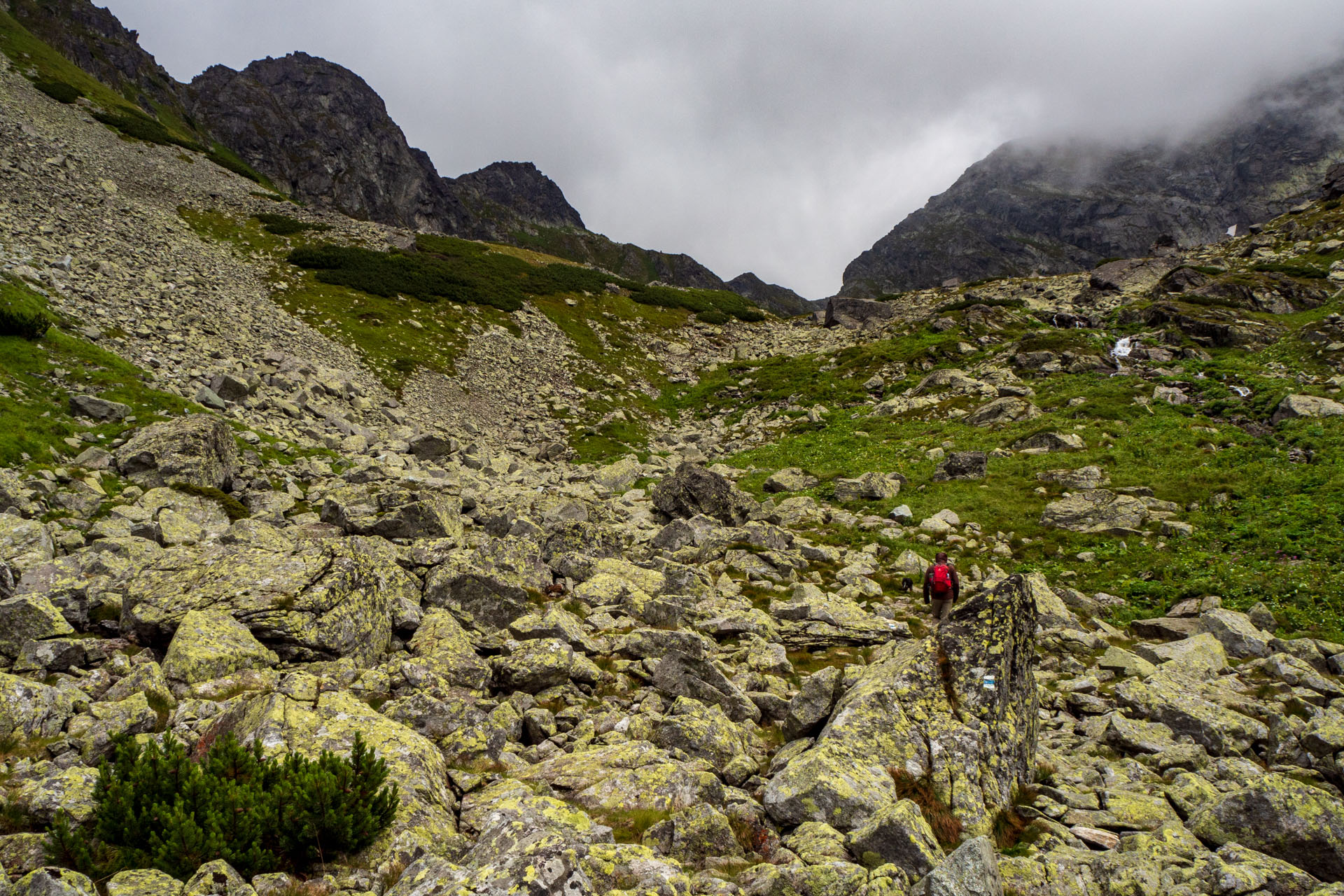 Poľský hrebeň z Lysej Poľany (Vysoké Tatry)