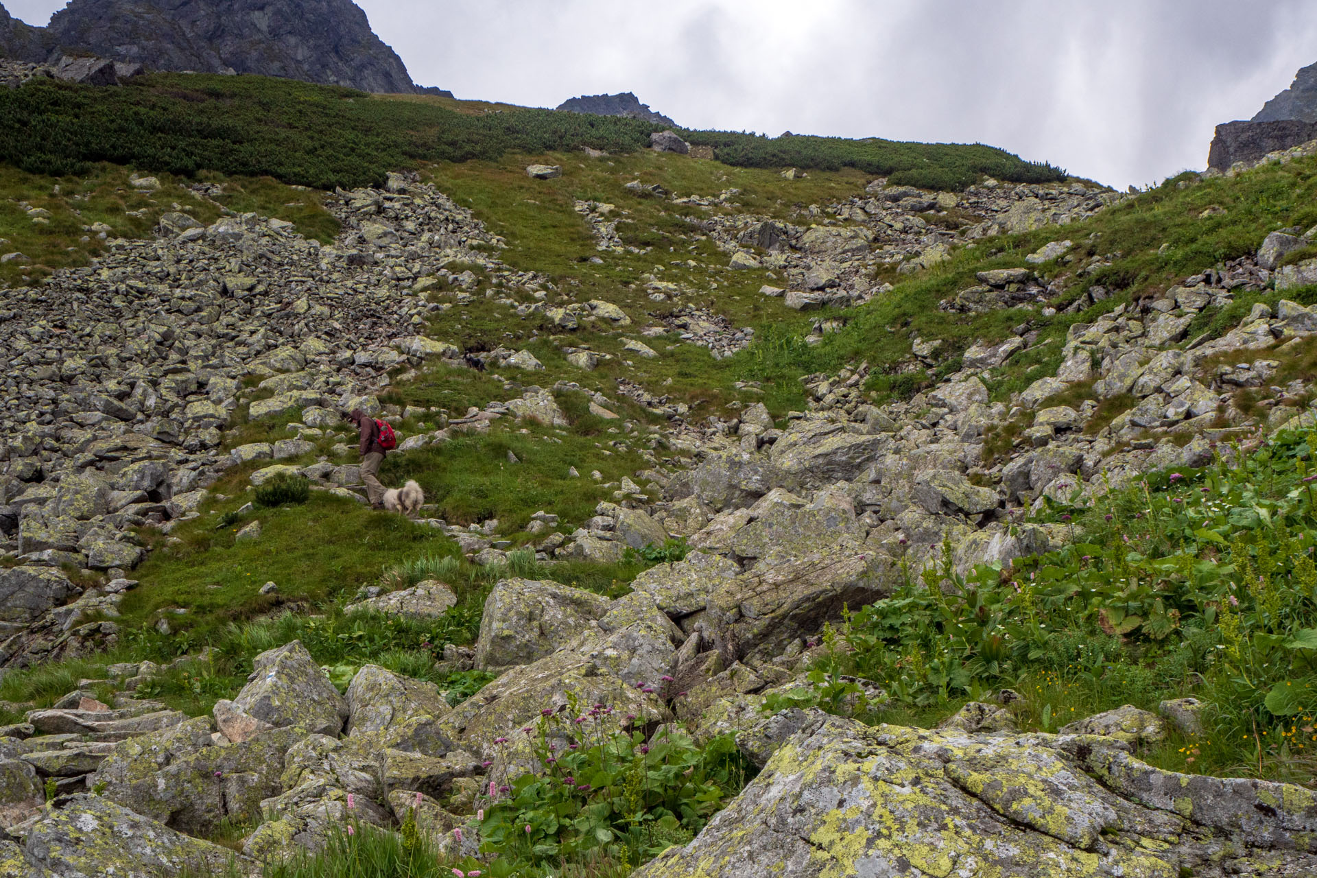 Poľský hrebeň z Lysej Poľany (Vysoké Tatry)