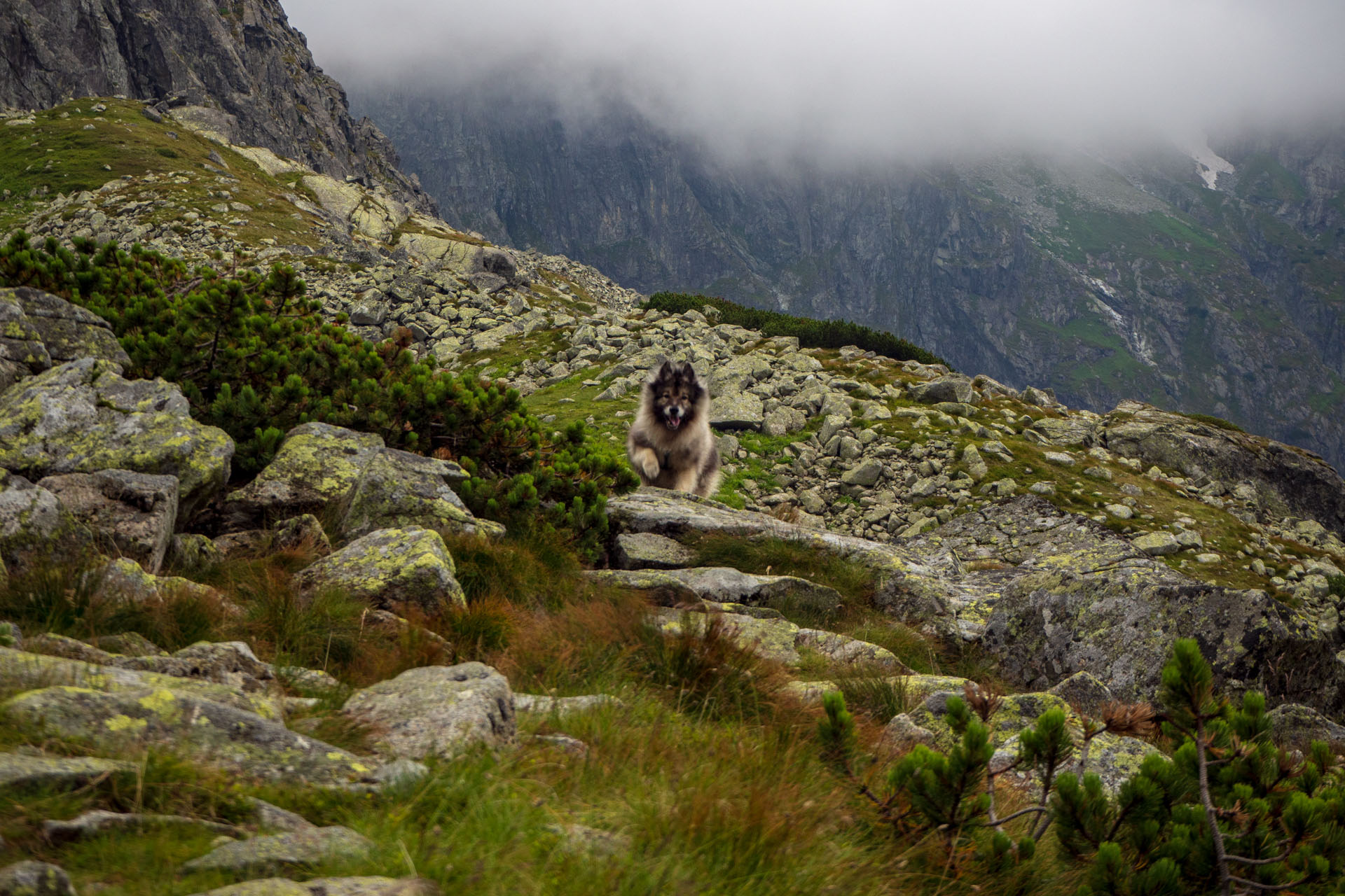 Poľský hrebeň z Lysej Poľany (Vysoké Tatry)