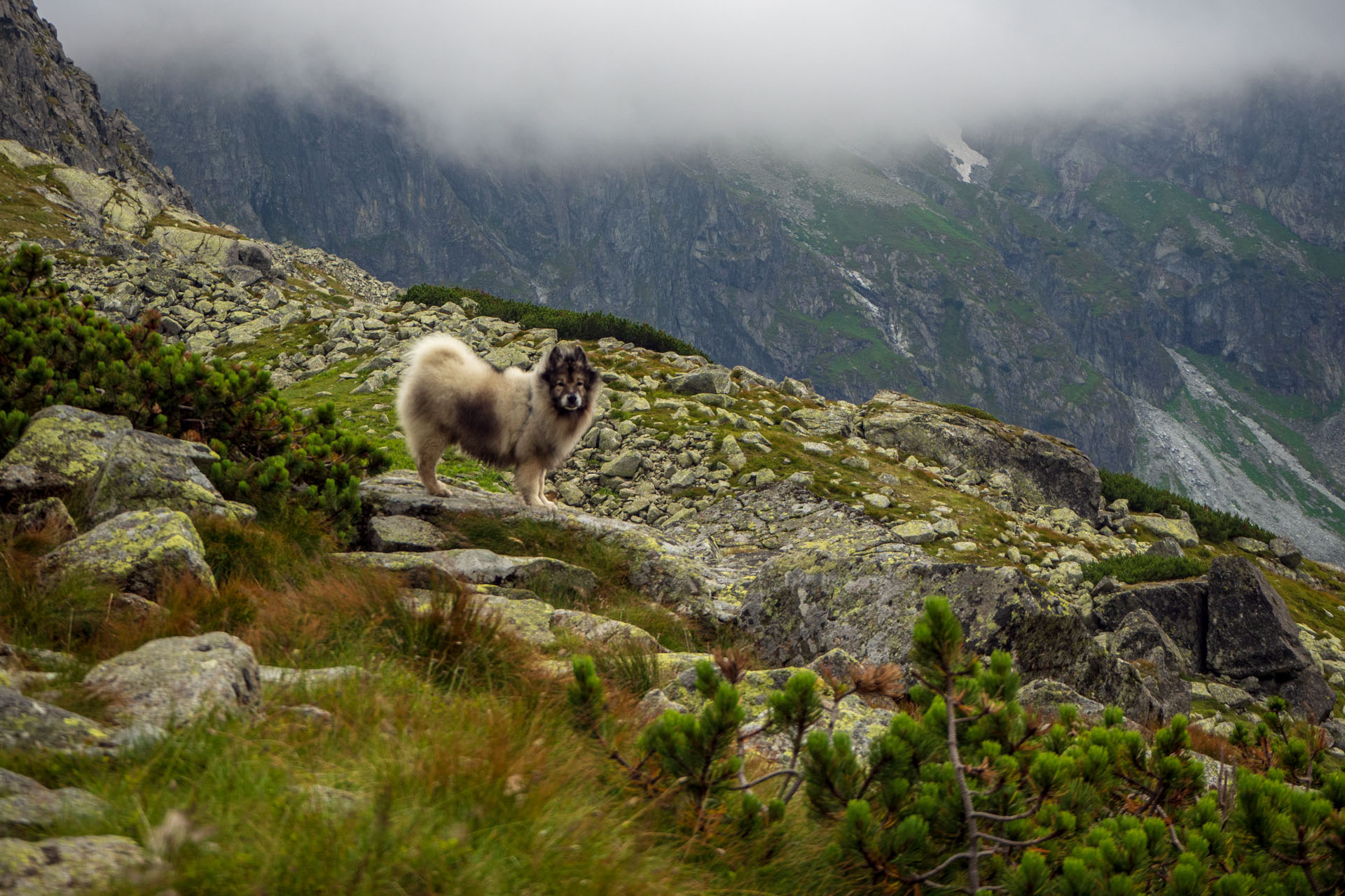 Poľský hrebeň z Lysej Poľany (Vysoké Tatry)