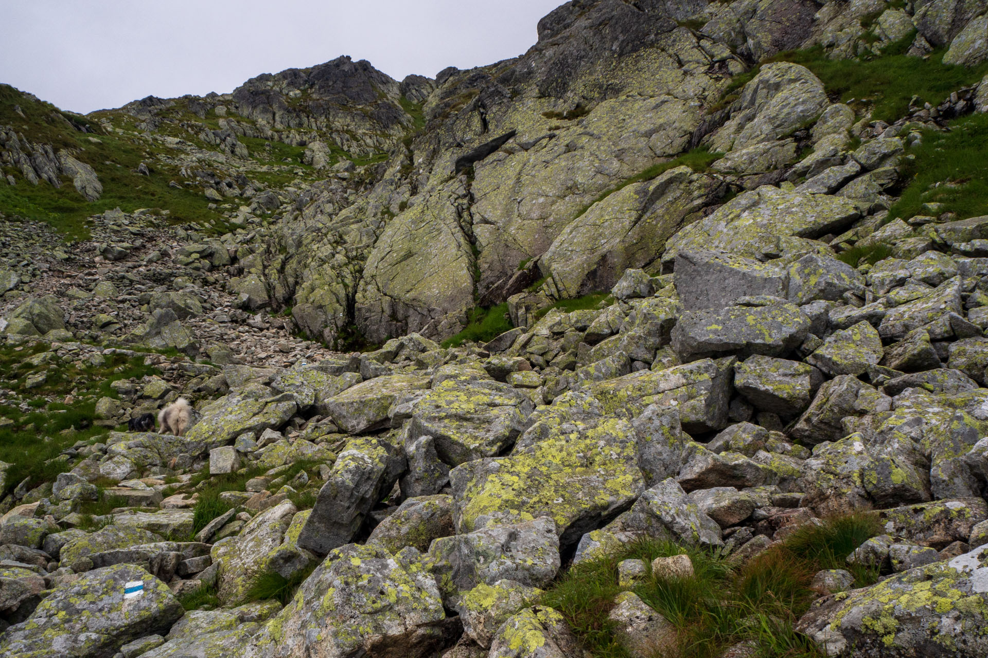 Poľský hrebeň z Lysej Poľany (Vysoké Tatry)