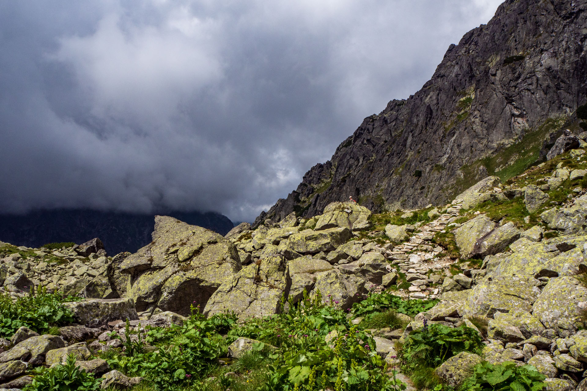 Poľský hrebeň z Lysej Poľany (Vysoké Tatry)