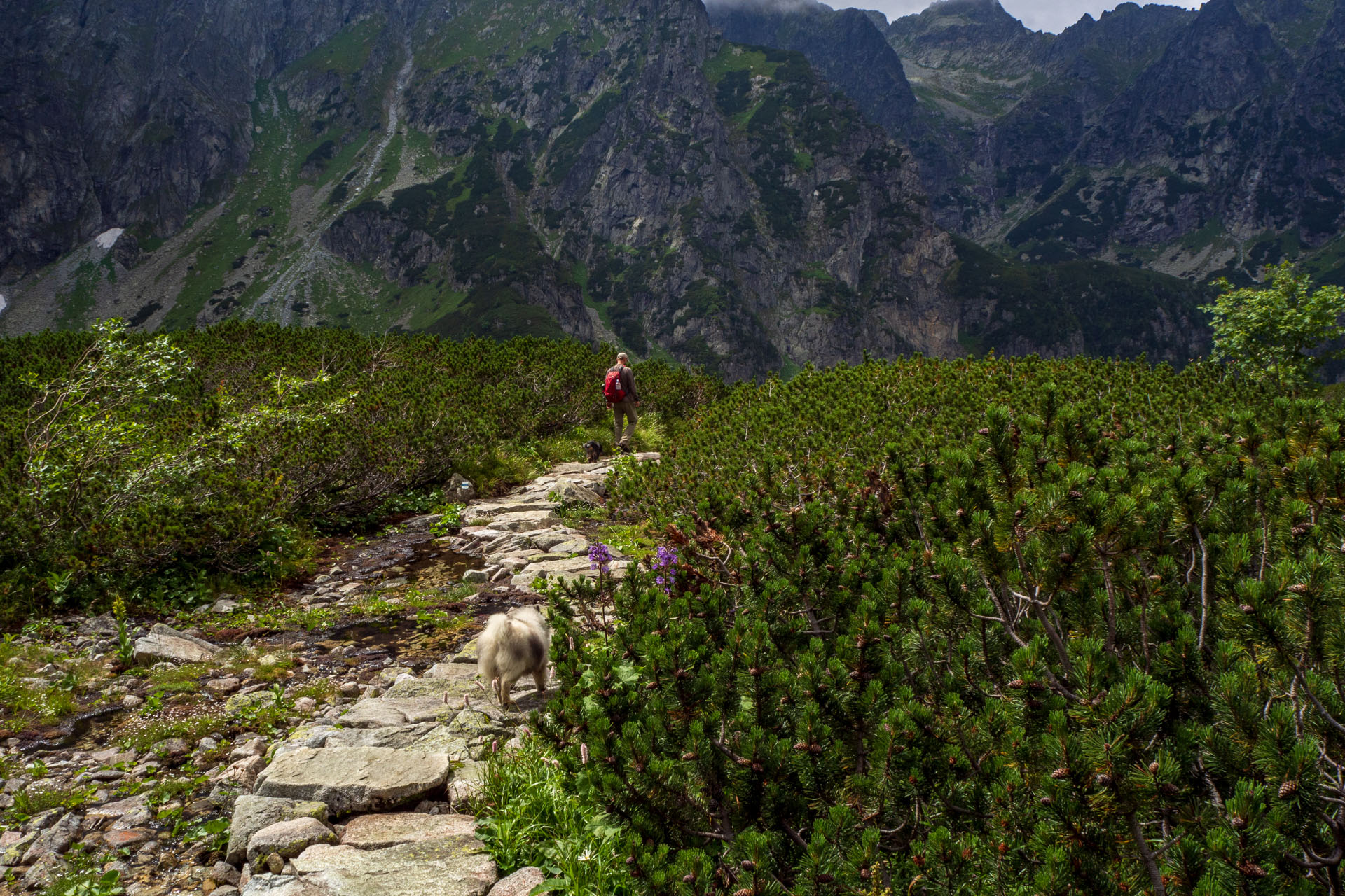 Poľský hrebeň z Lysej Poľany (Vysoké Tatry)