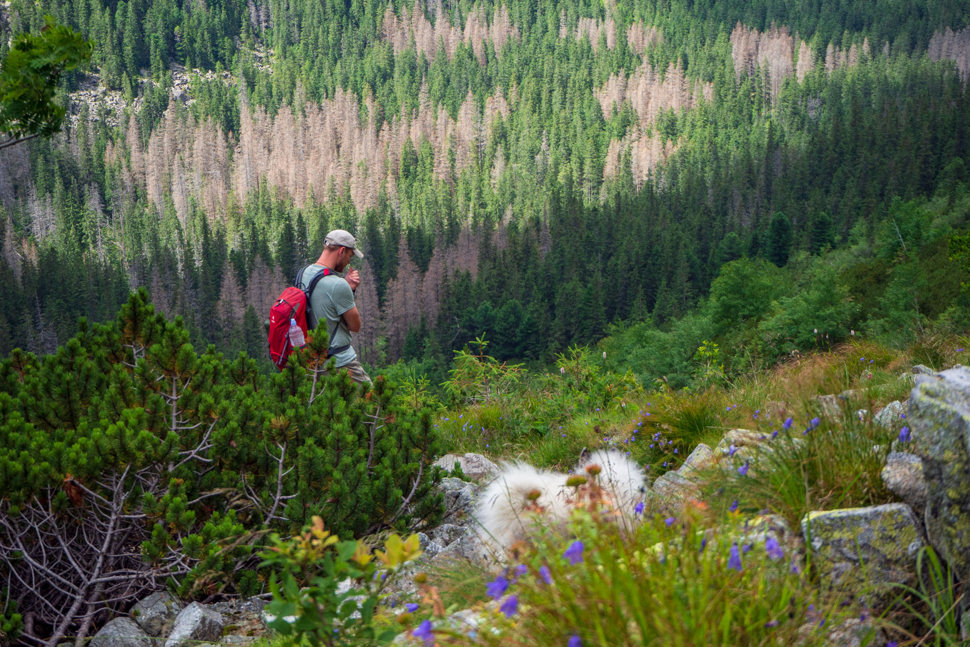 Poľský hrebeň z Lysej Poľany (Vysoké Tatry)