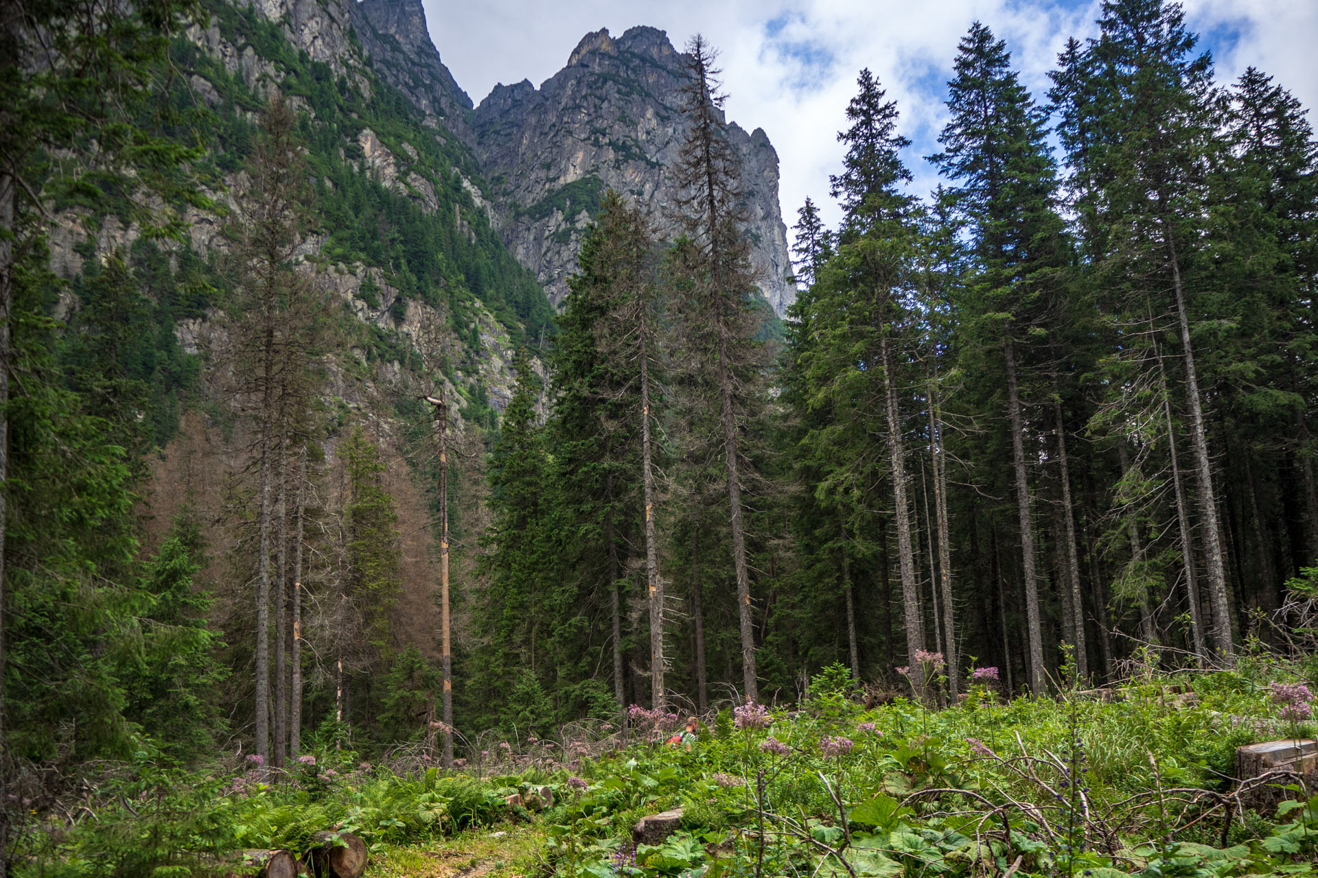 Poľský hrebeň z Lysej Poľany (Vysoké Tatry)