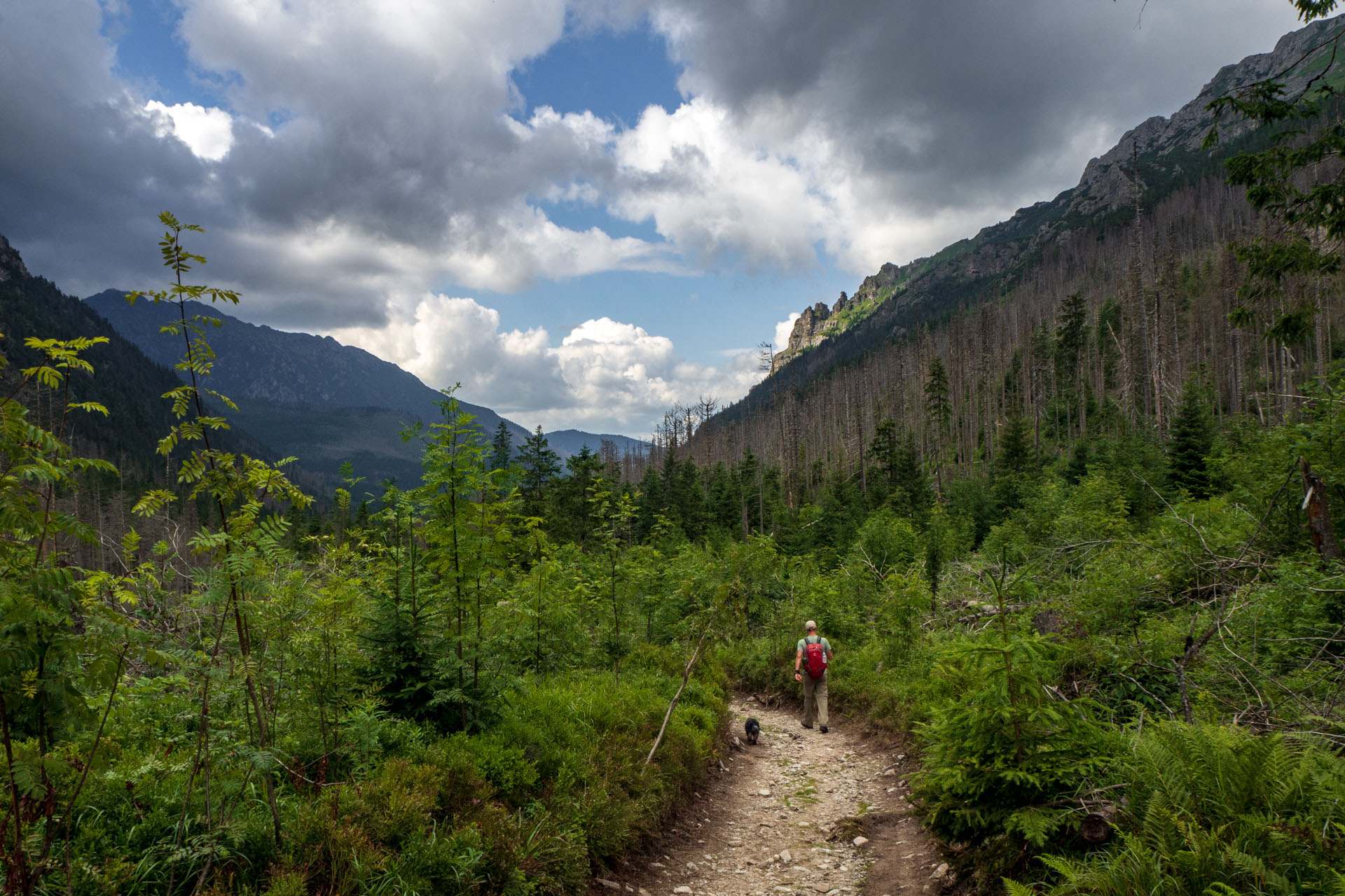 Poľský hrebeň z Lysej Poľany (Vysoké Tatry)