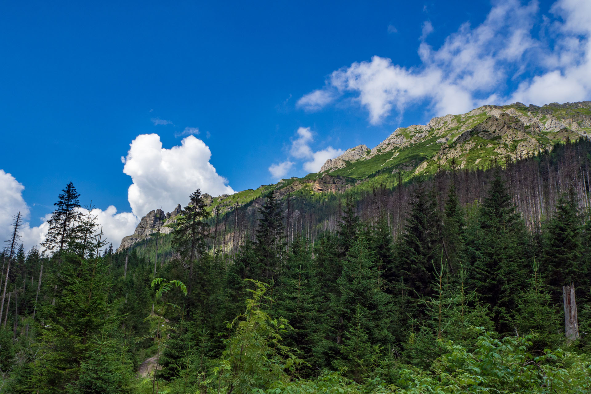 Poľský hrebeň z Lysej Poľany (Vysoké Tatry)