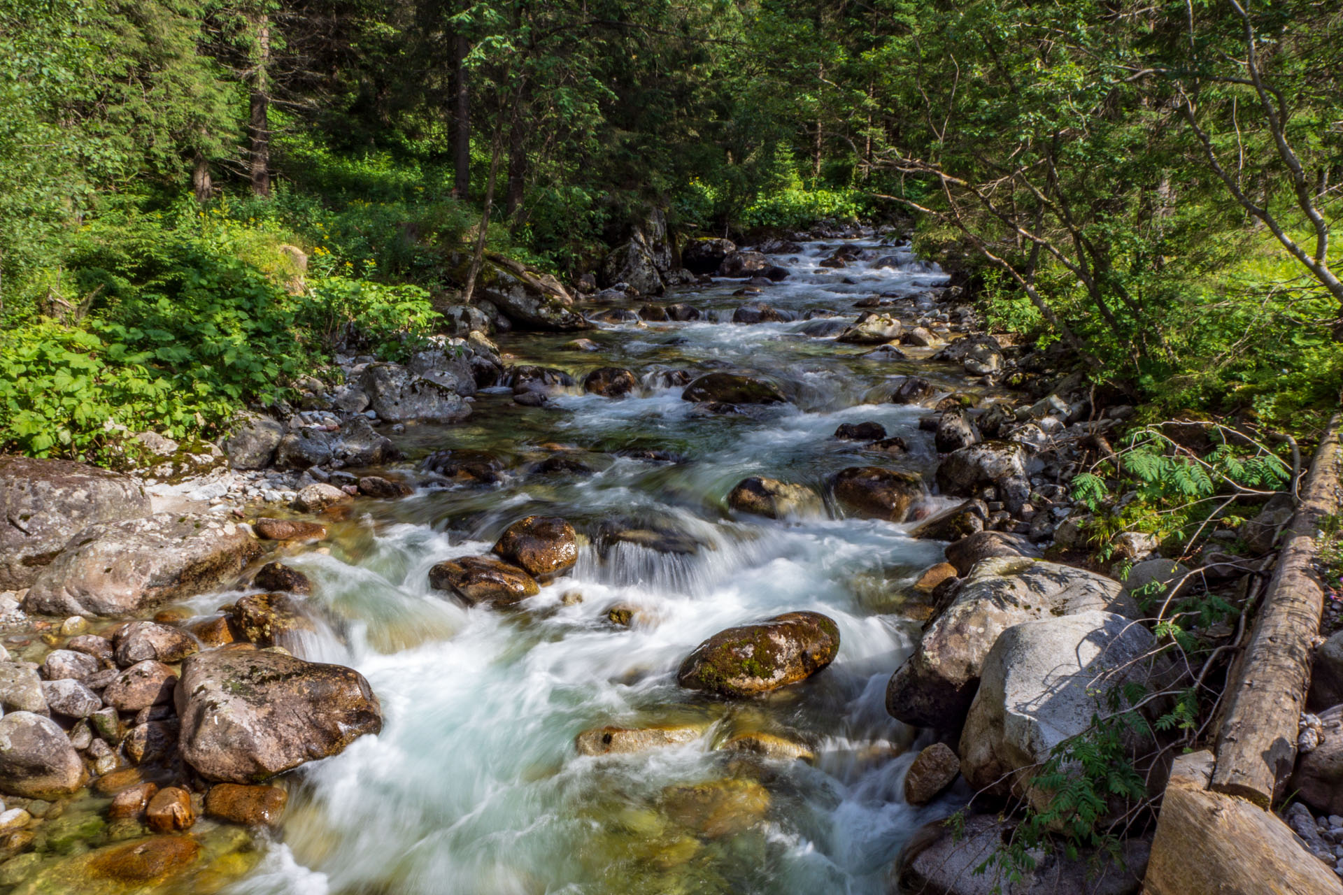 Poľský hrebeň z Lysej Poľany (Vysoké Tatry)