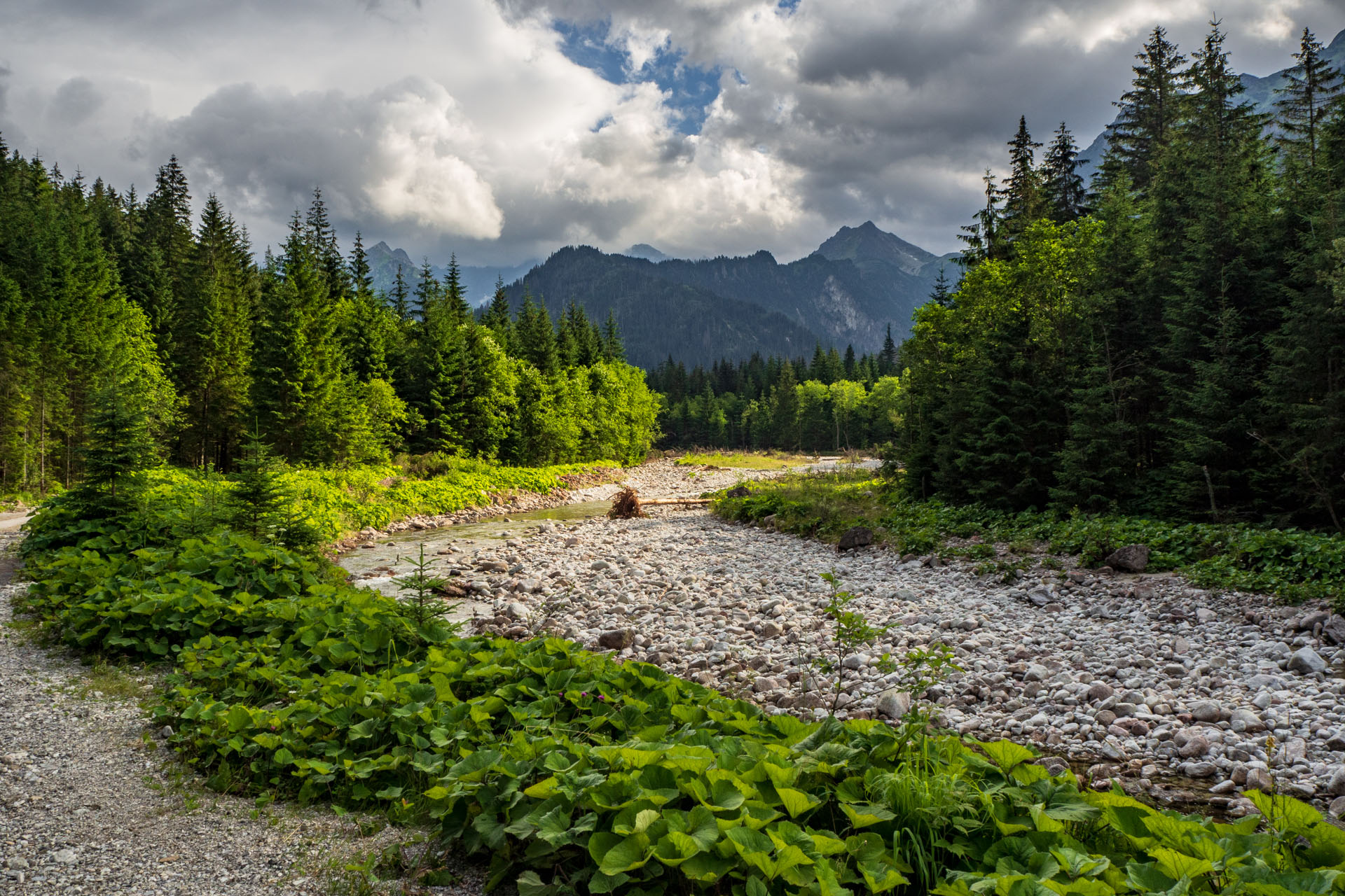 Poľský hrebeň z Lysej Poľany (Vysoké Tatry)