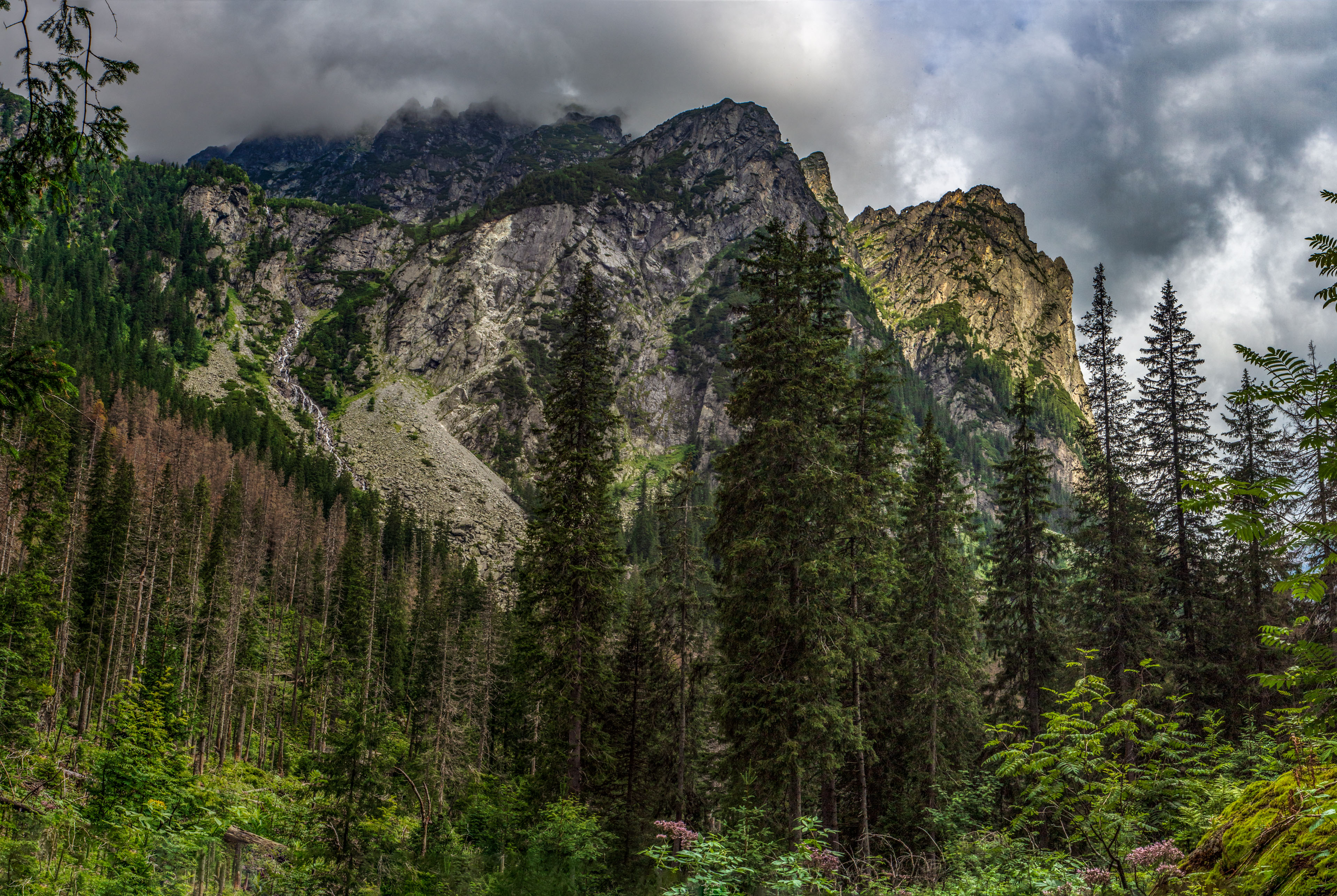 Poľský hrebeň z Lysej Poľany (Vysoké Tatry)