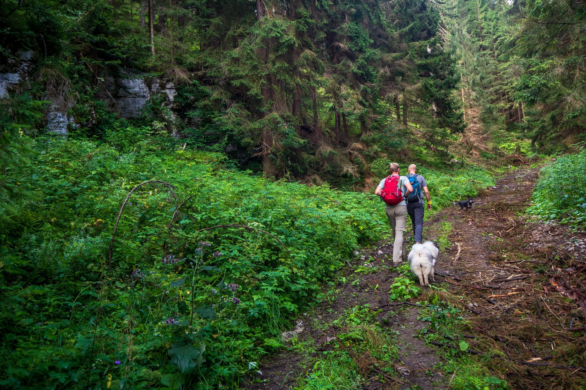 Poludnica zo Závažnej Poruby (Nízke Tatry)