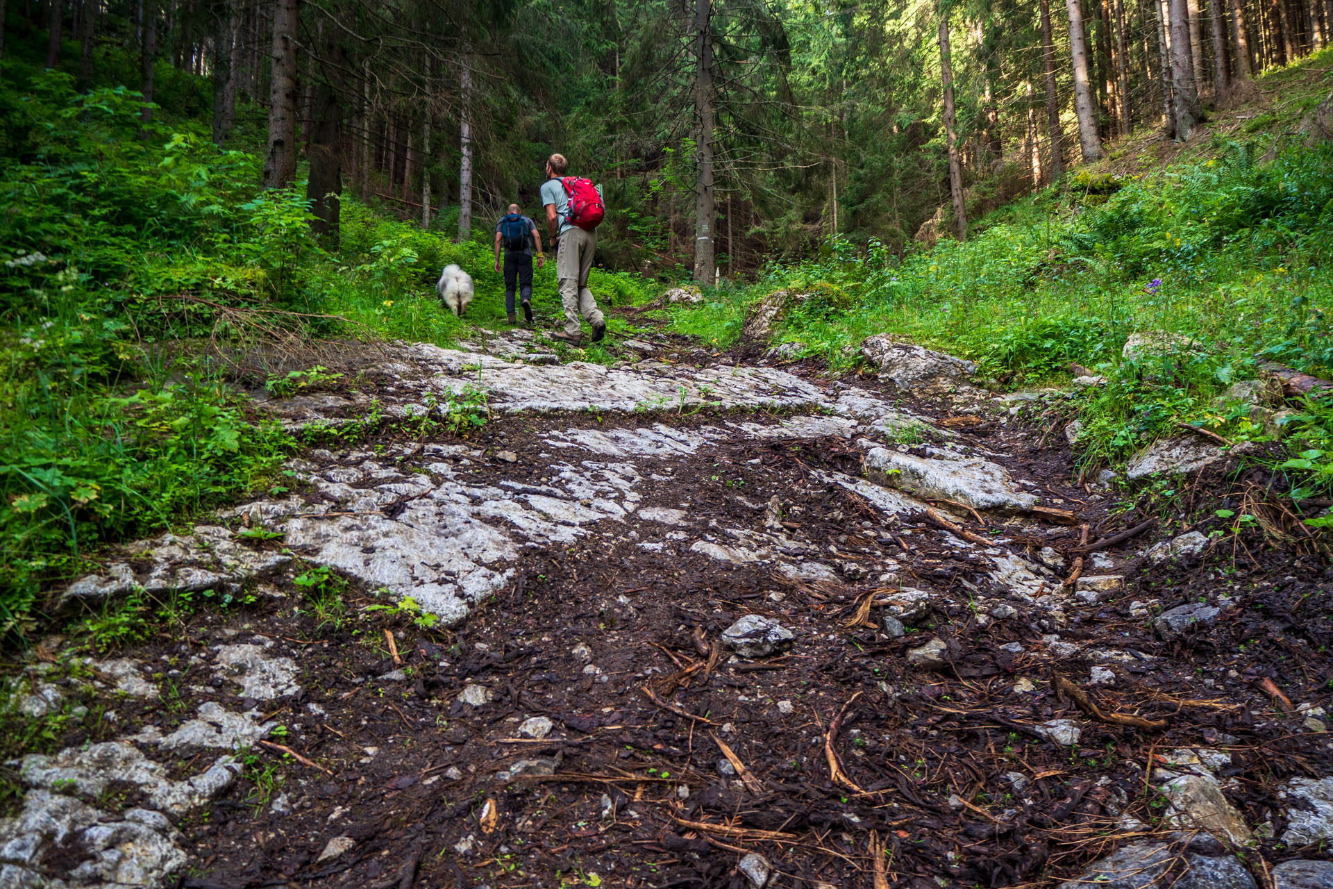 Poludnica zo Závažnej Poruby (Nízke Tatry)