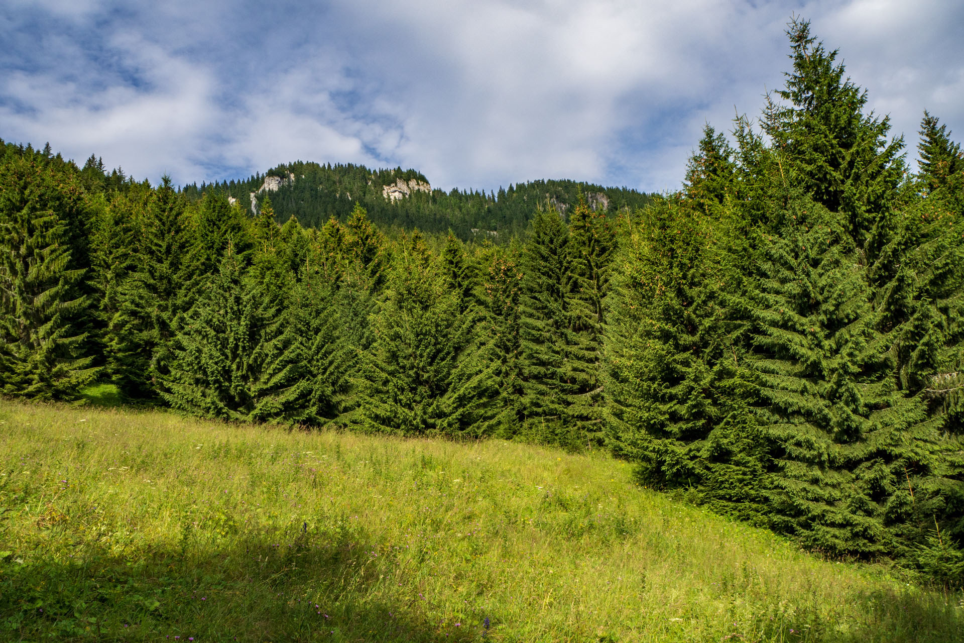 Poludnica zo Závažnej Poruby (Nízke Tatry)