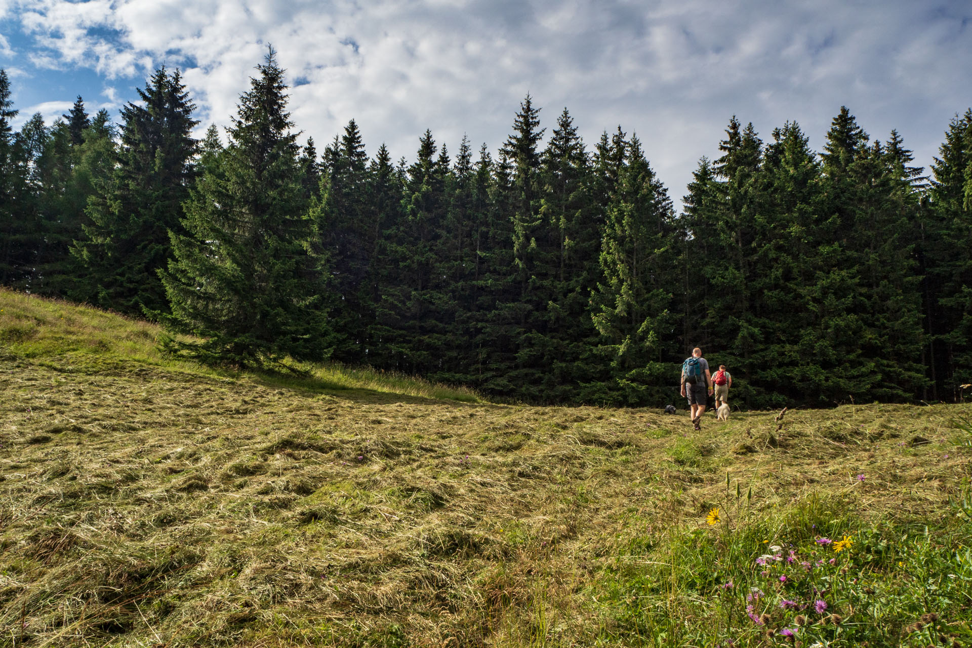 Poludnica zo Závažnej Poruby (Nízke Tatry)