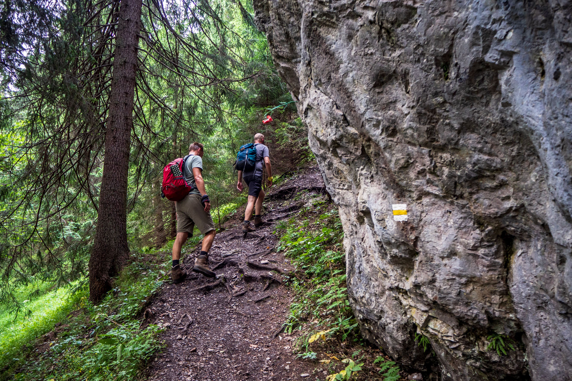 Poludnica zo Závažnej Poruby (Nízke Tatry)