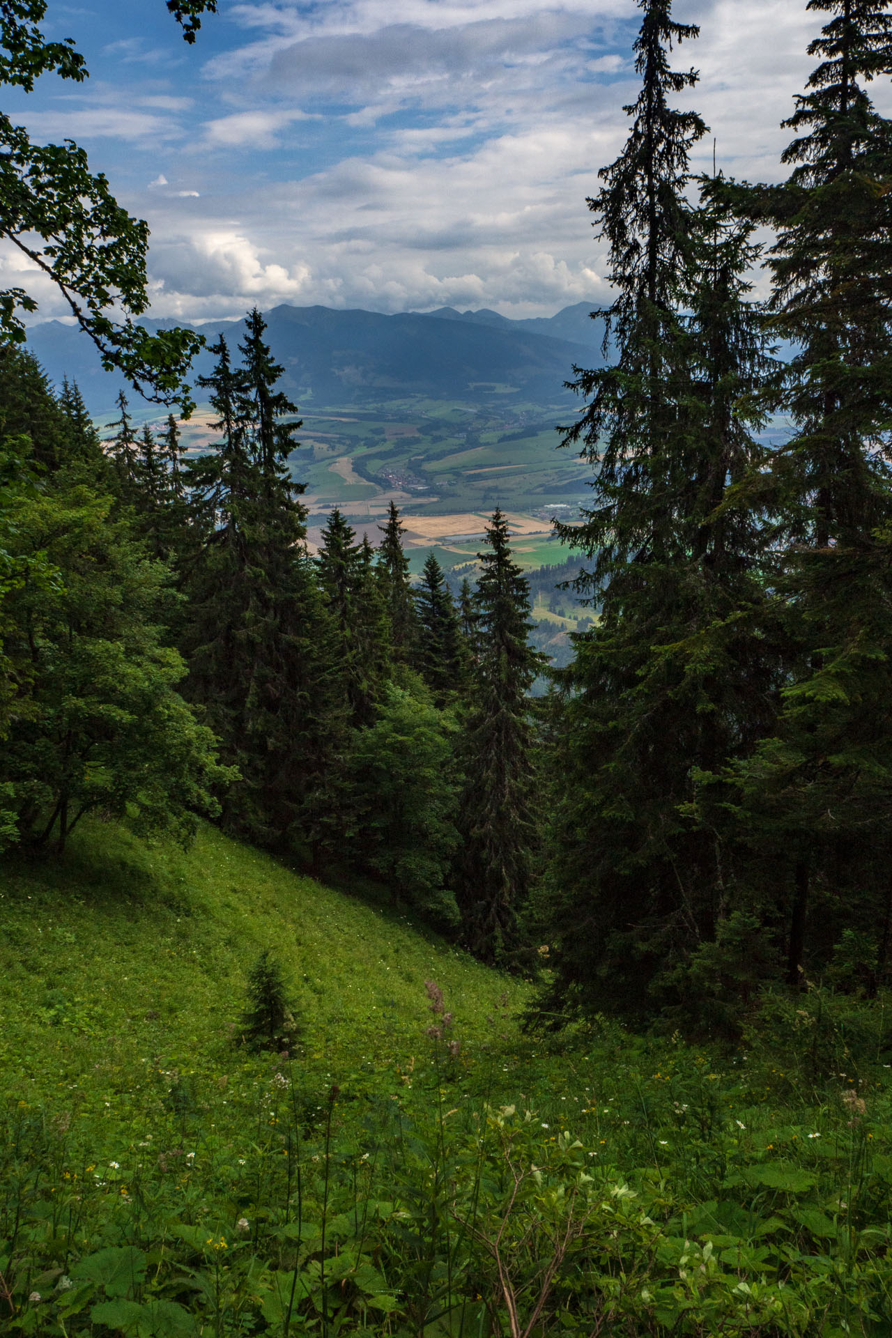 Poludnica zo Závažnej Poruby (Nízke Tatry)