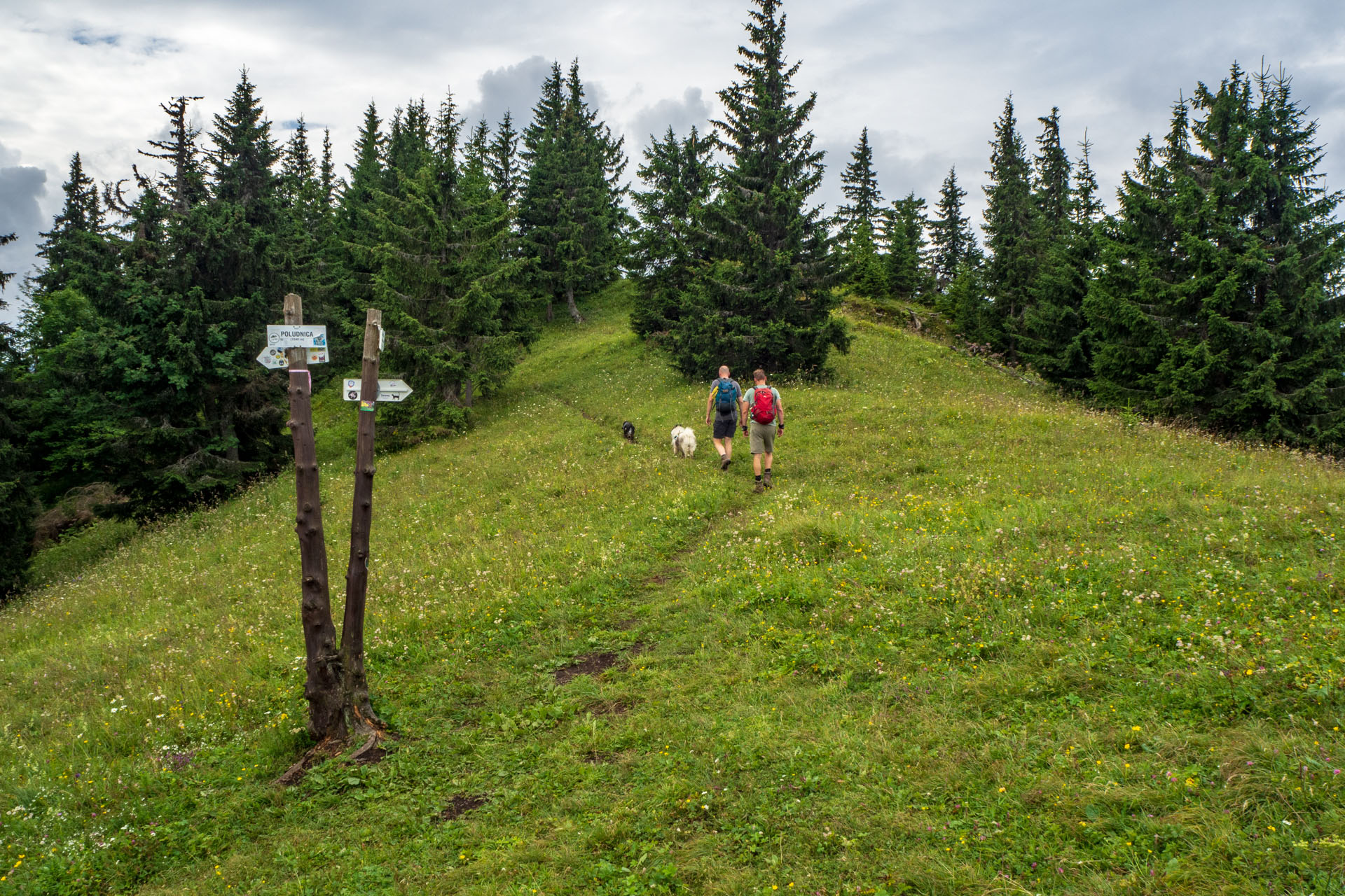 Poludnica zo Závažnej Poruby (Nízke Tatry)