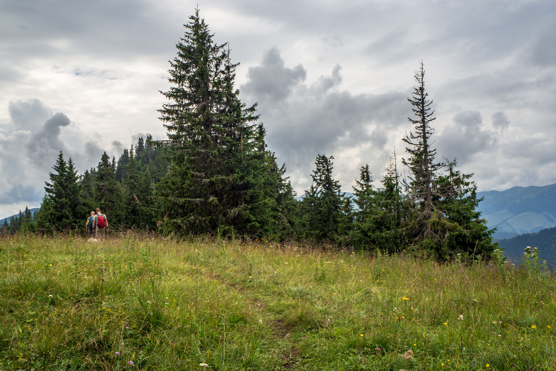 Poludnica zo Závažnej Poruby (Nízke Tatry)