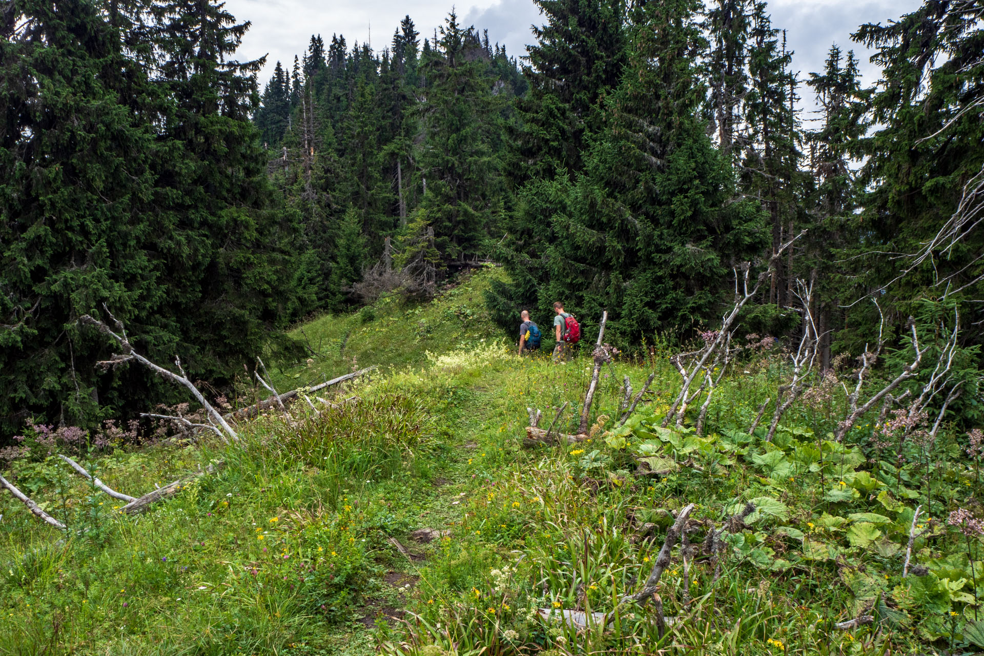 Poludnica zo Závažnej Poruby (Nízke Tatry)