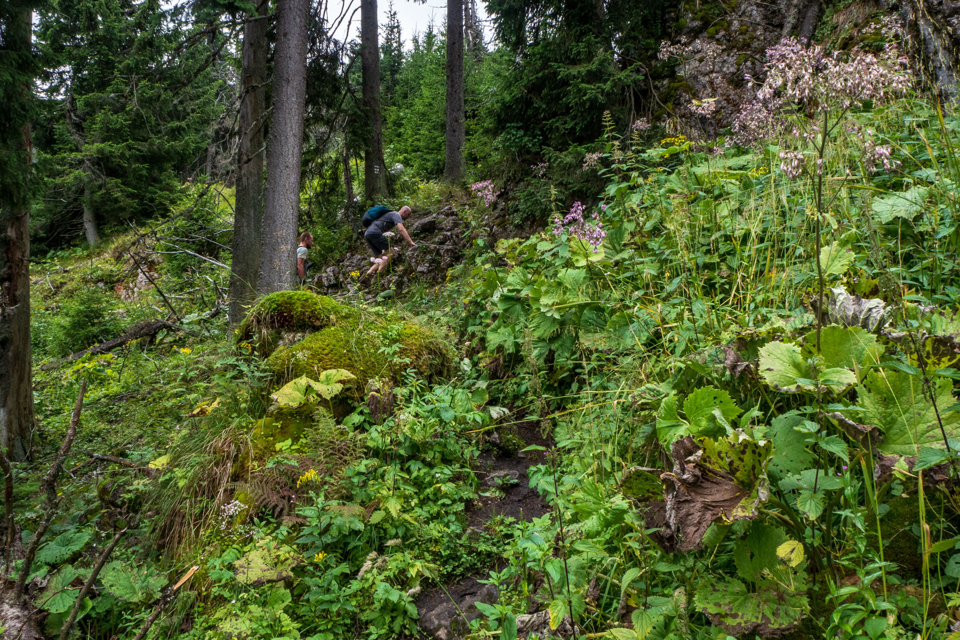 Poludnica zo Závažnej Poruby (Nízke Tatry)