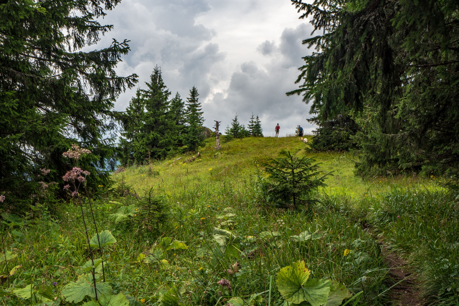 Poludnica zo Závažnej Poruby (Nízke Tatry)