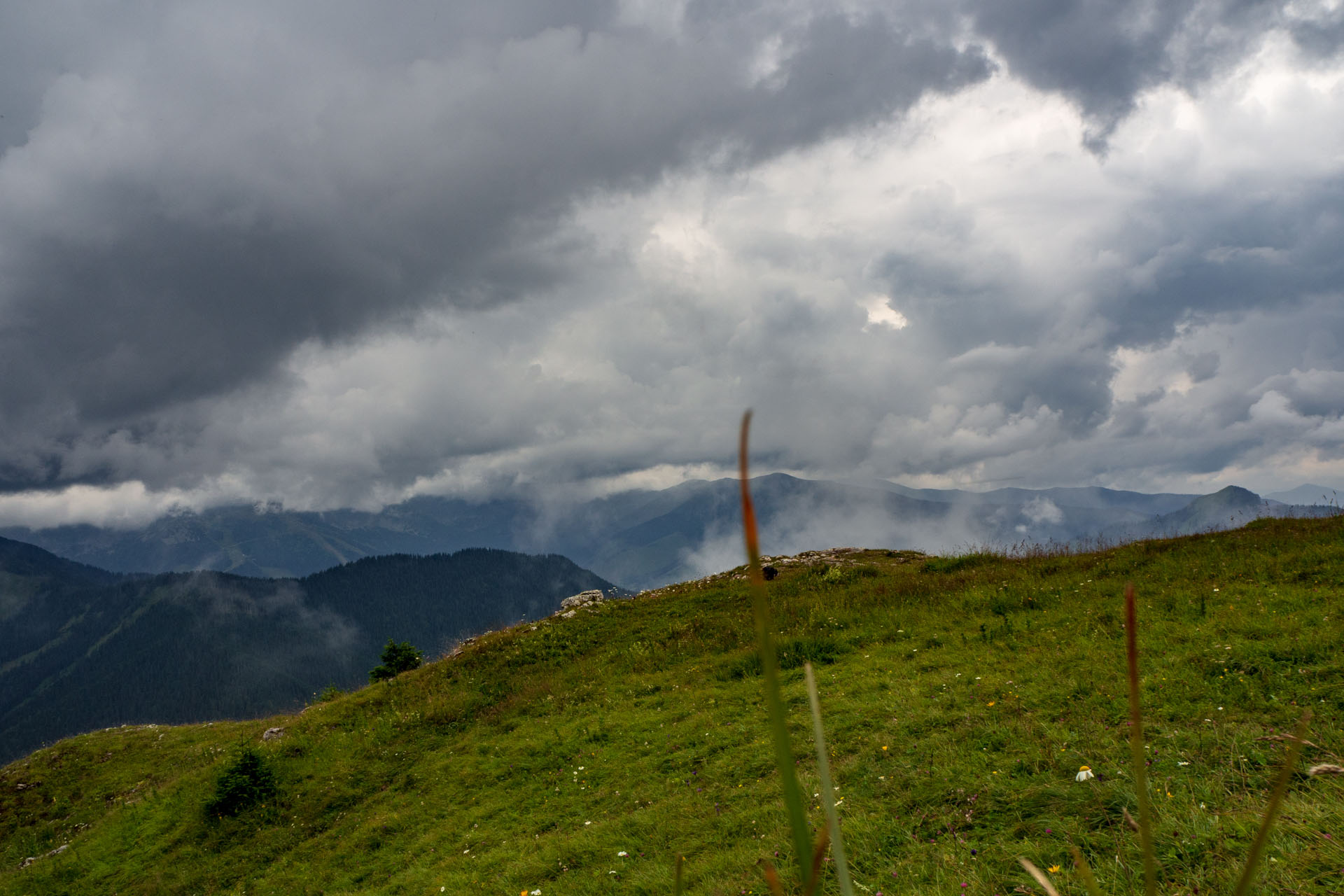 Poludnica zo Závažnej Poruby (Nízke Tatry)