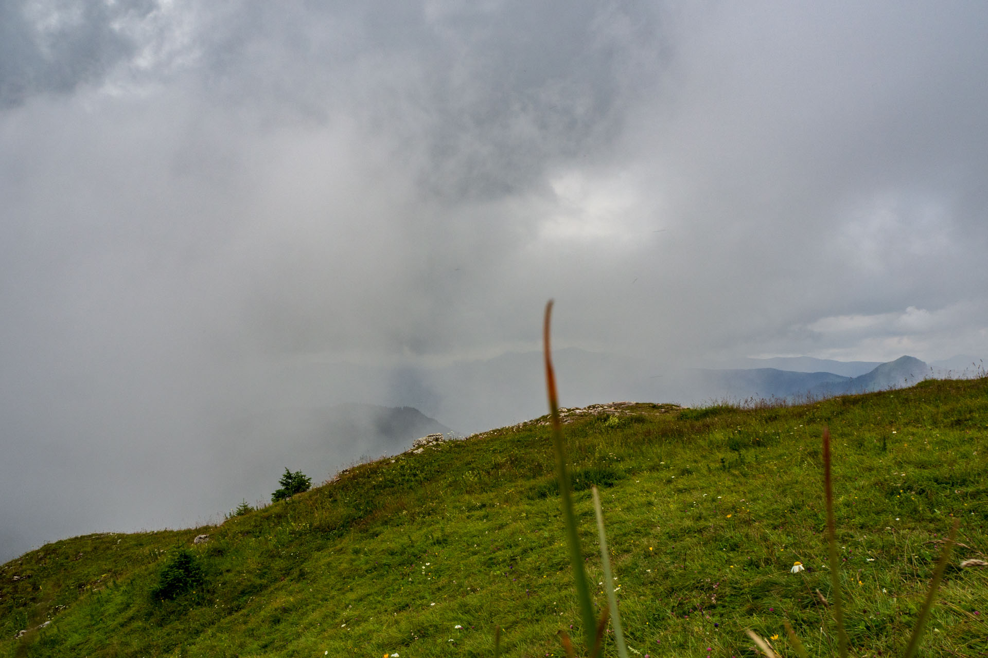 Poludnica zo Závažnej Poruby (Nízke Tatry)