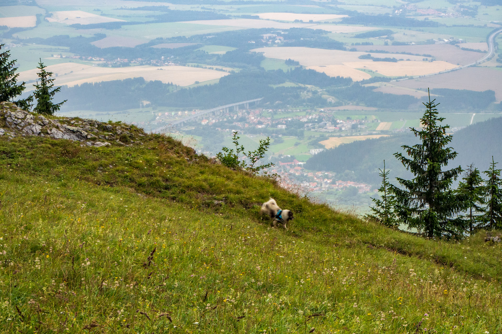 Poludnica zo Závažnej Poruby (Nízke Tatry)