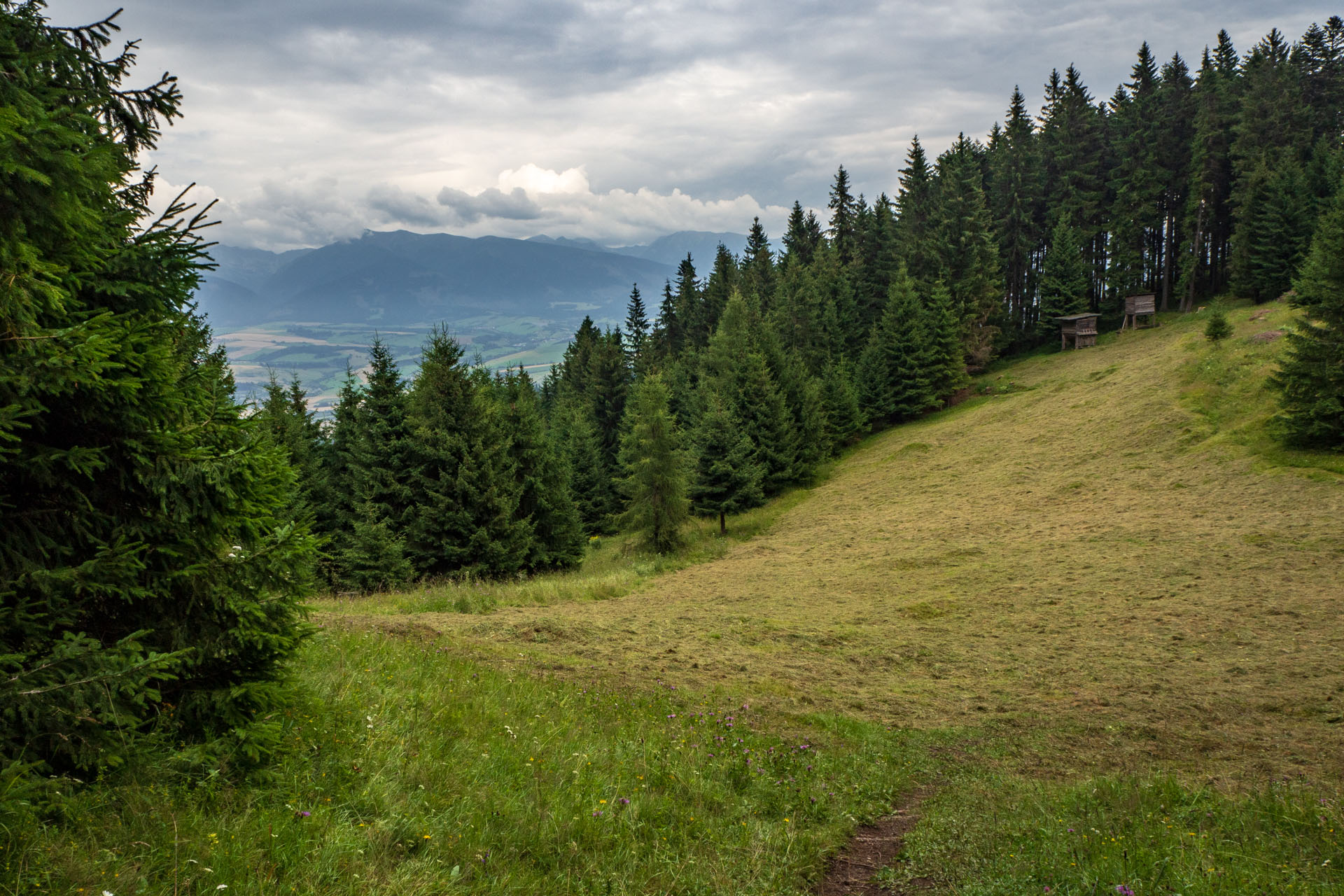 Poludnica zo Závažnej Poruby (Nízke Tatry)