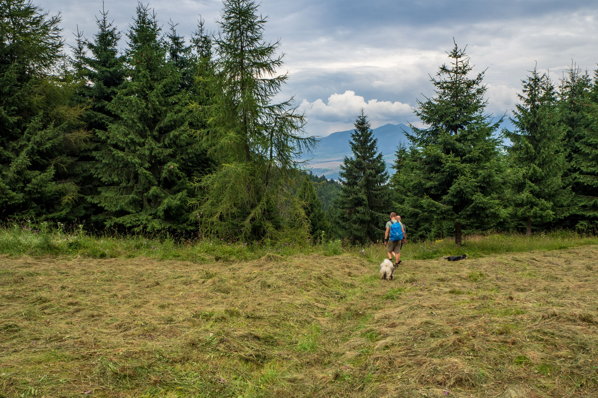 Poludnica zo Závažnej Poruby (Nízke Tatry)